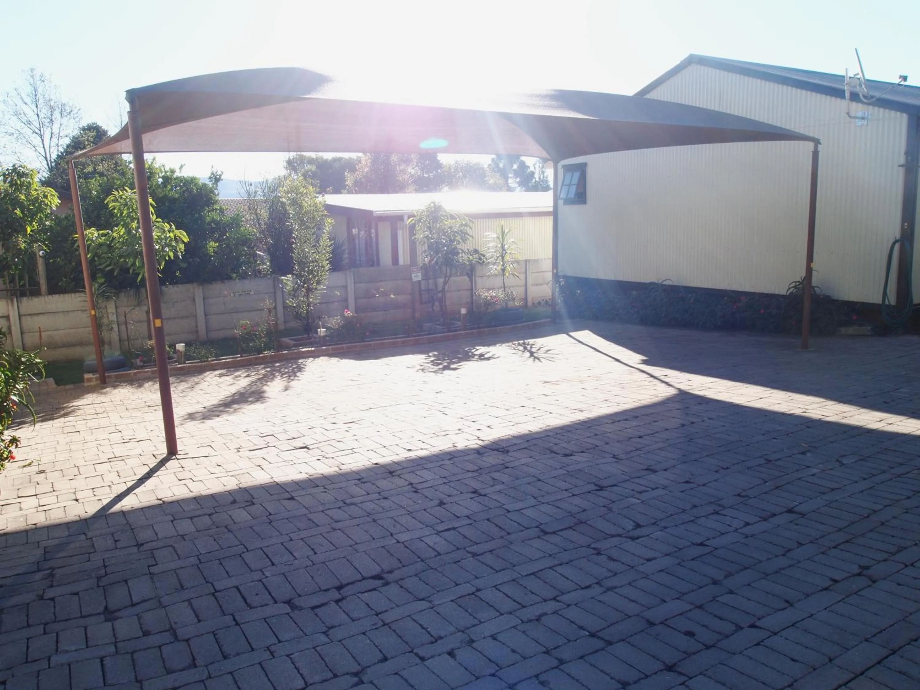 Garden in Havana Nights