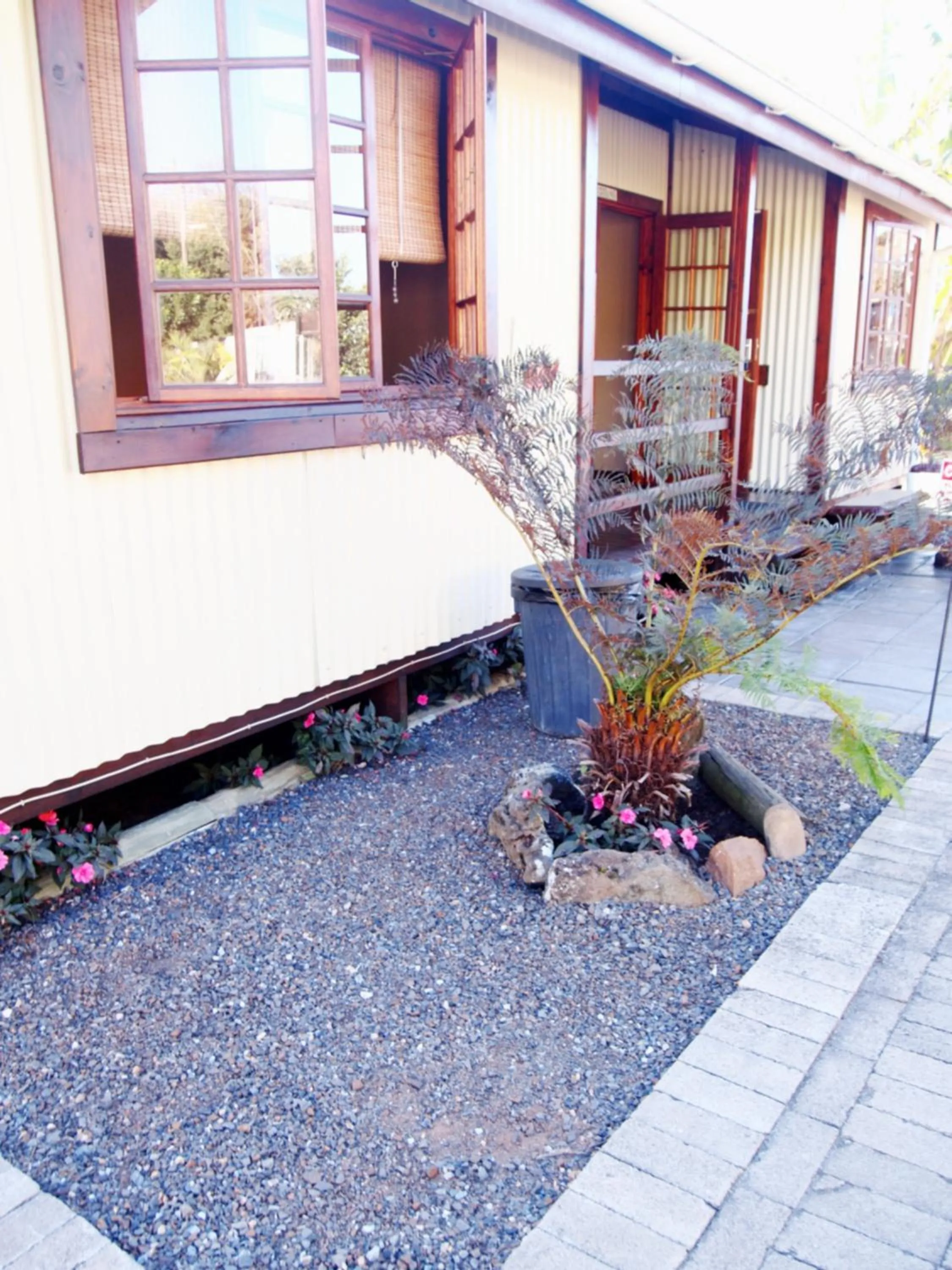 Patio in Havana Nights
