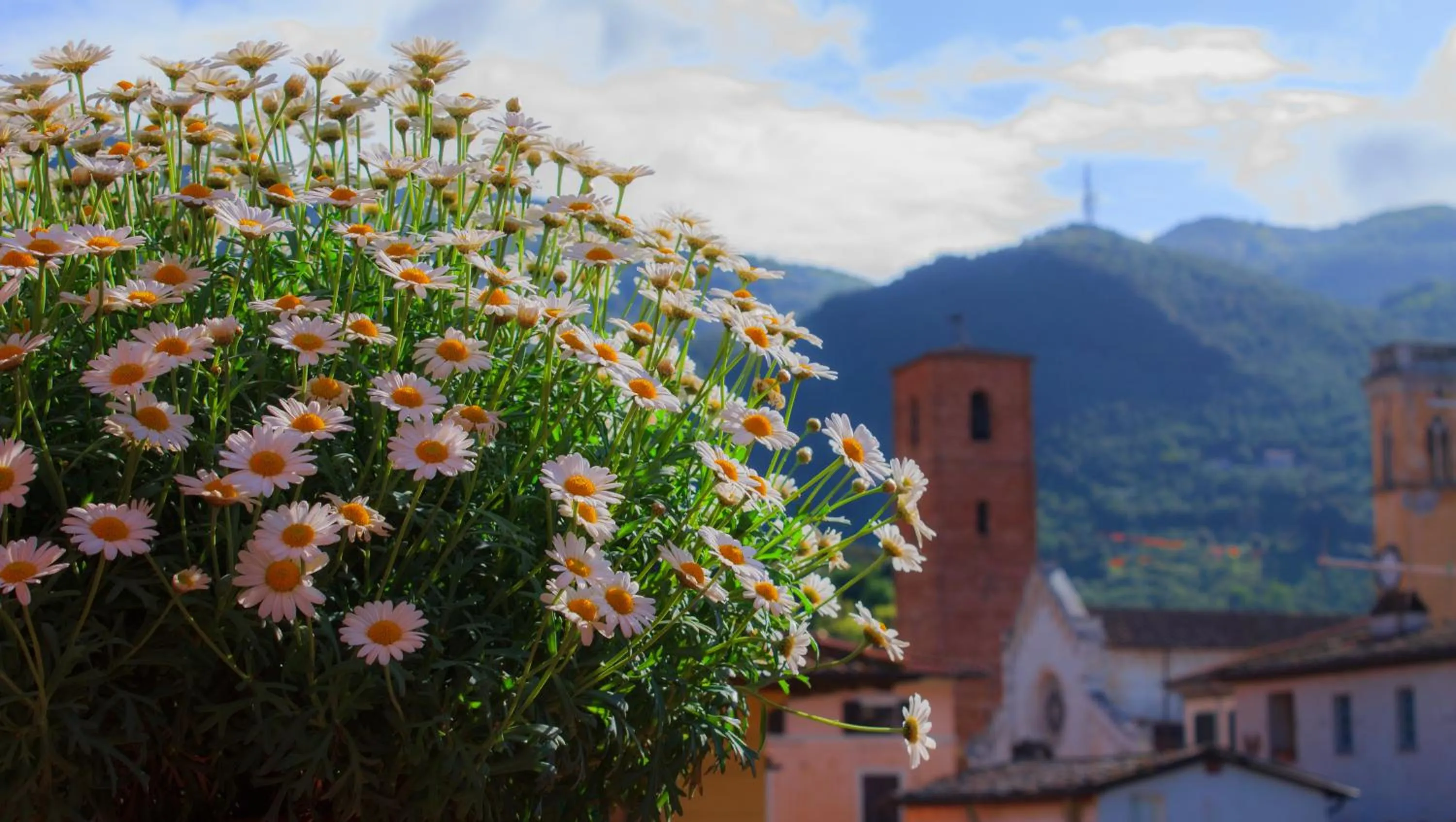Nearby landmark in Hotel Palagi