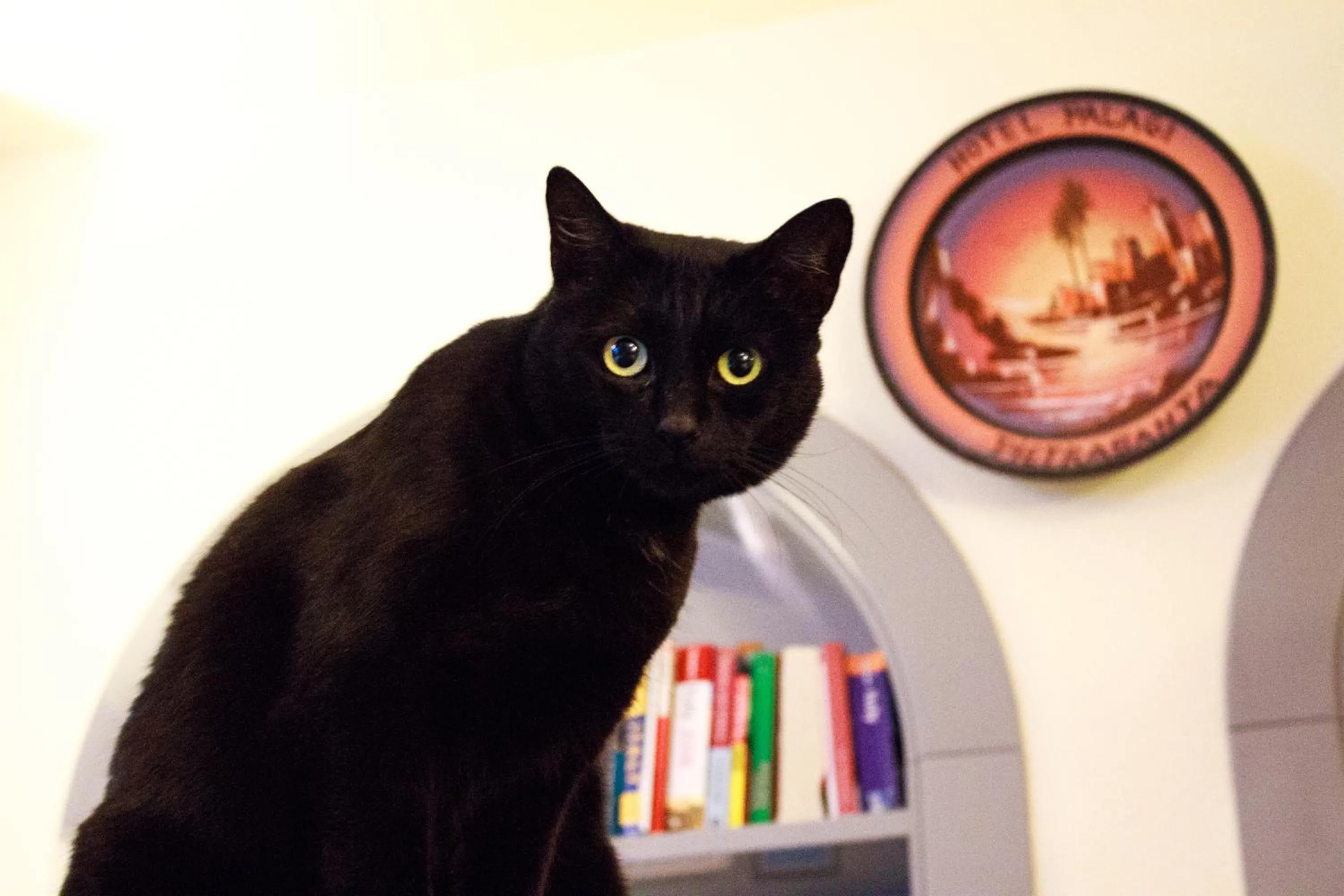 Lobby or reception in Hotel Palagi