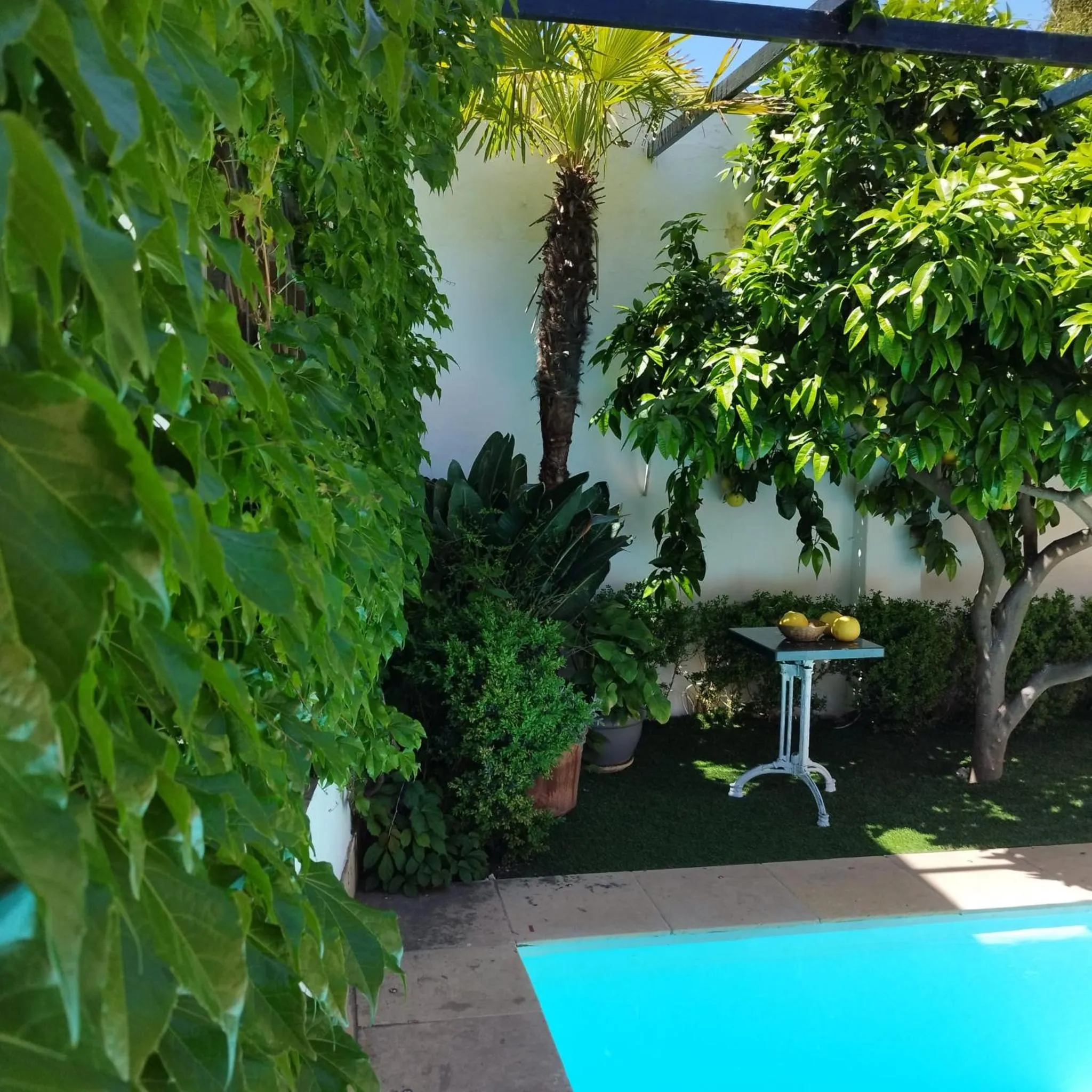 Patio in Suite Comares