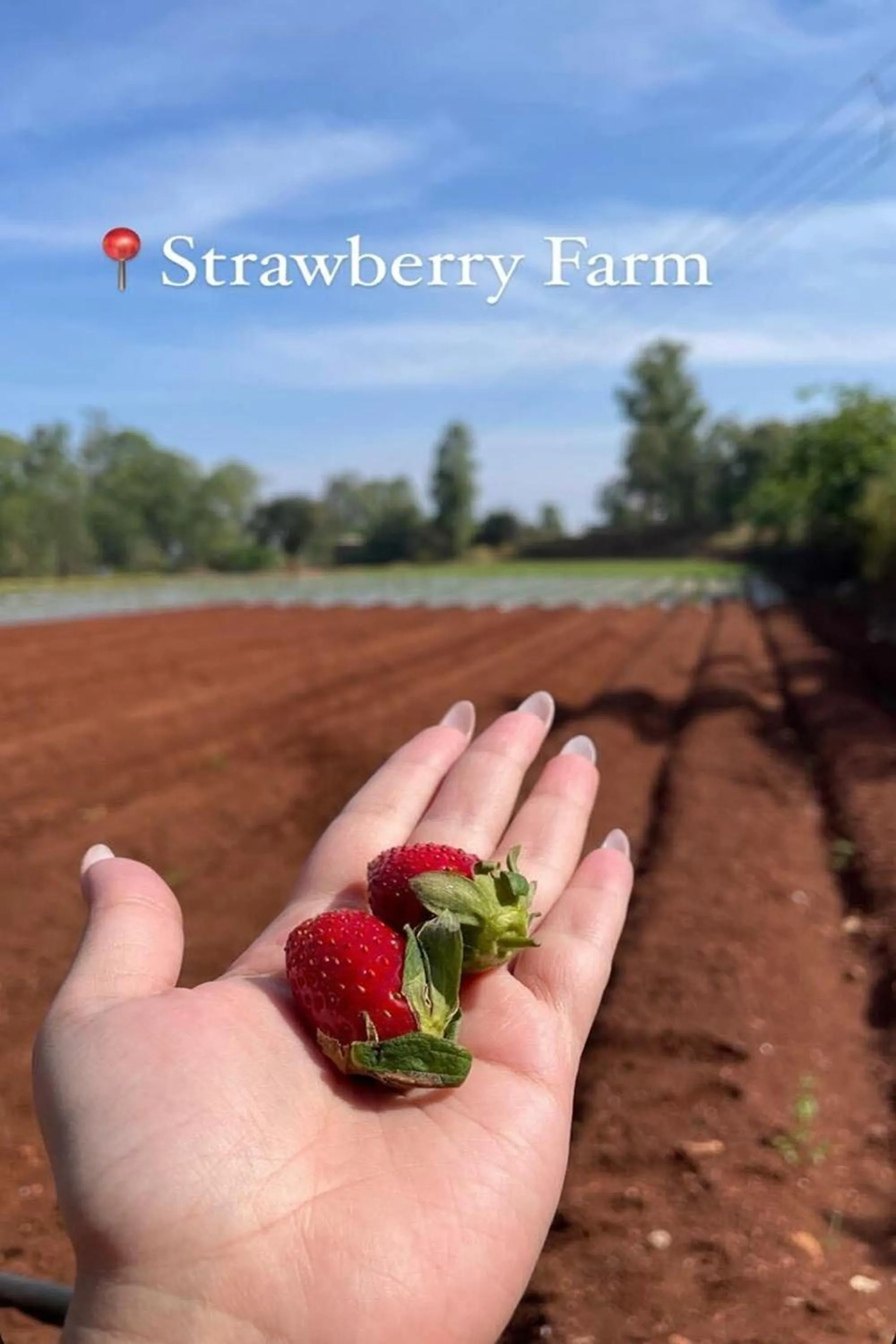 Text overlay in Greenland Stay