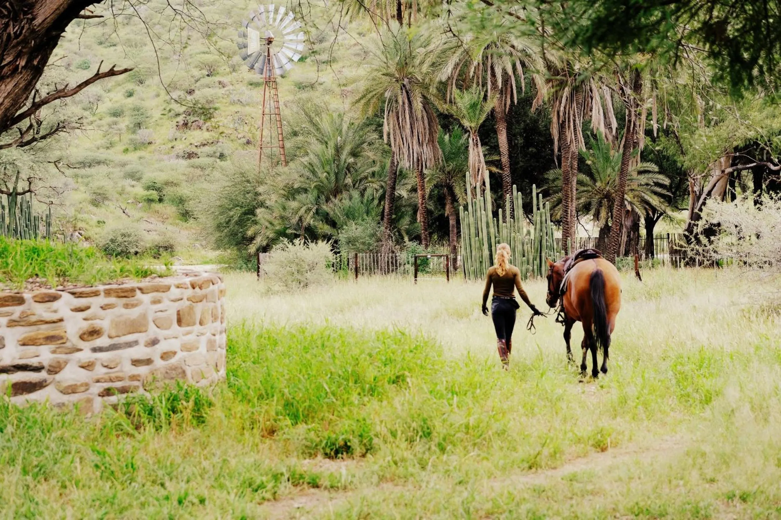 Horse-riding in Casa Blanca Boutique Hotel
