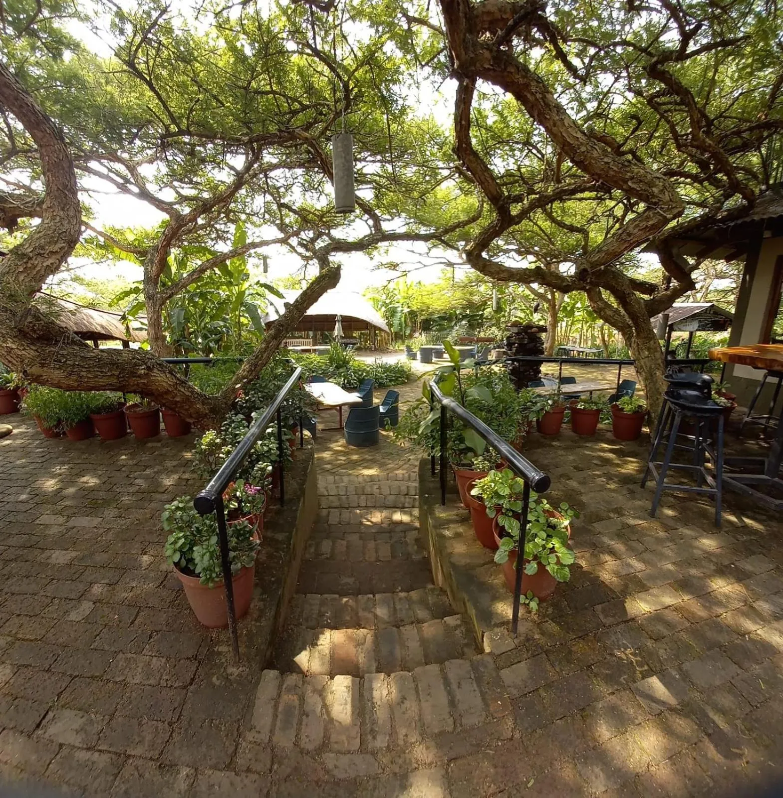 Property building in Ascot Bush Lodge