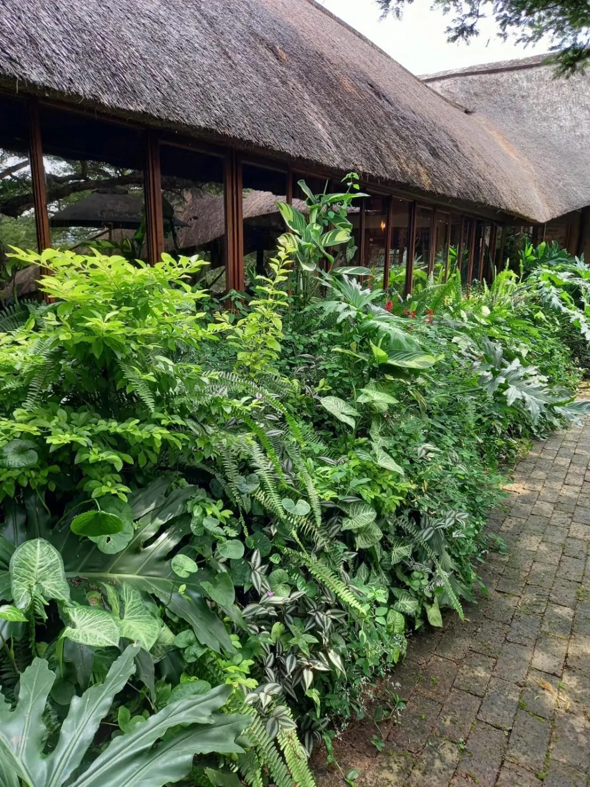 Garden in Ascot Bush Lodge