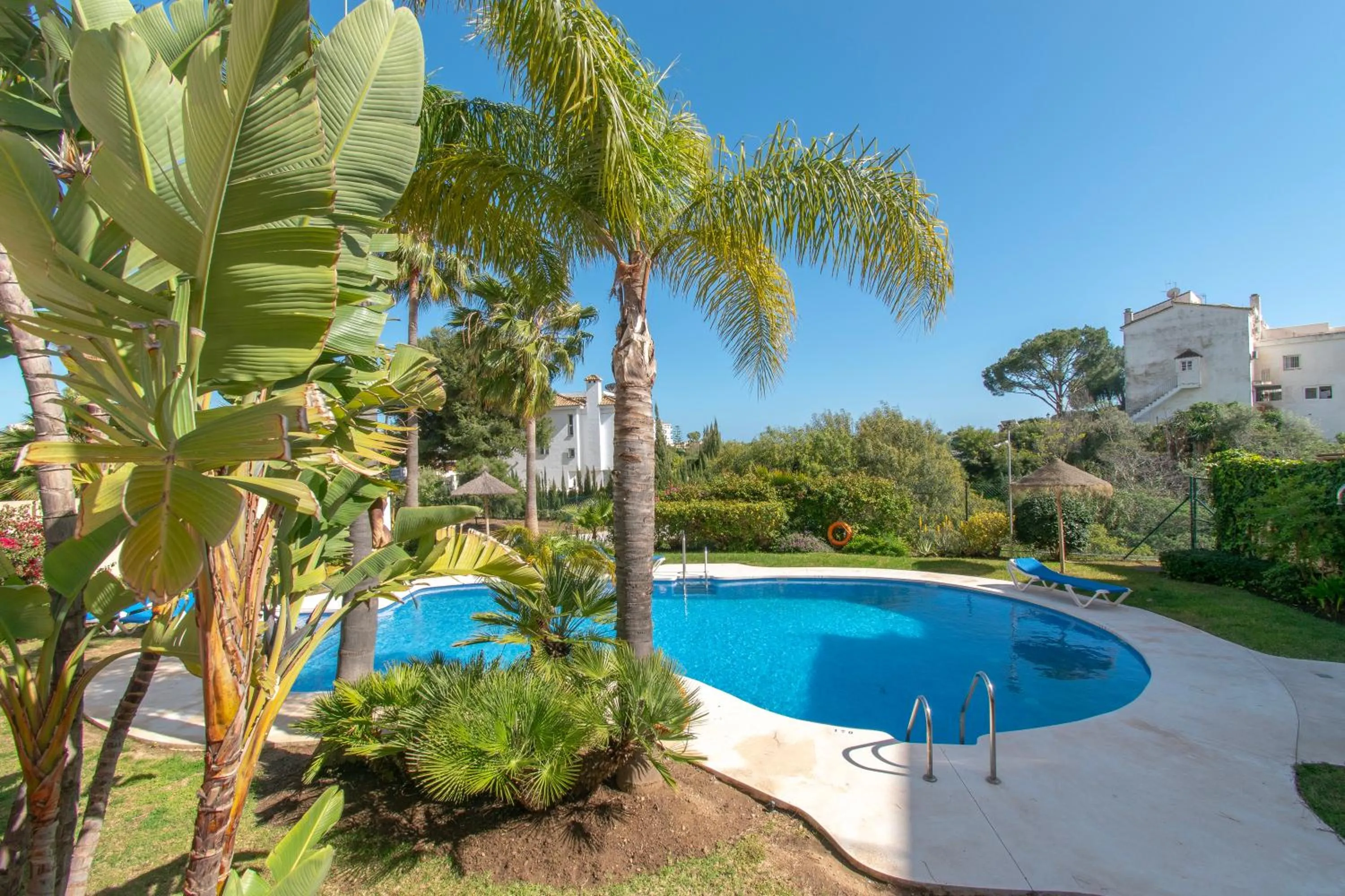Pool view in Paraiso De Riviera - Happy Rentals