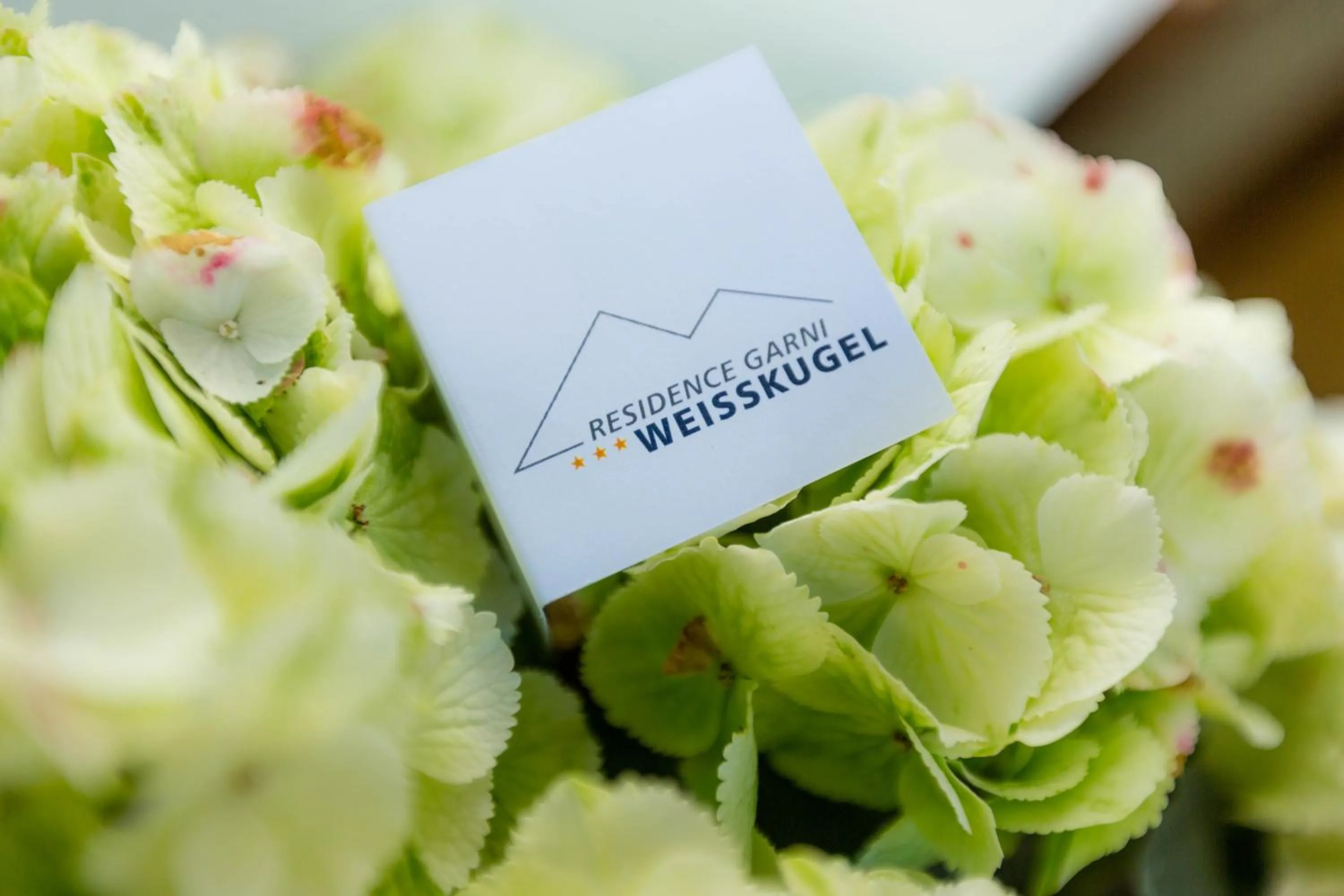 Residence Weisskugel Langtaufers Südtirol