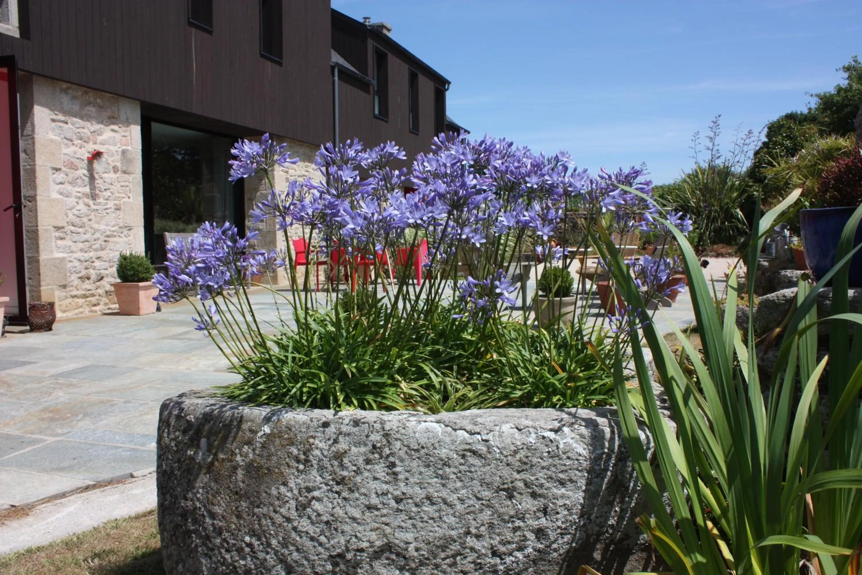 Garden in Les Chambres d'hôtes de Kérasquer