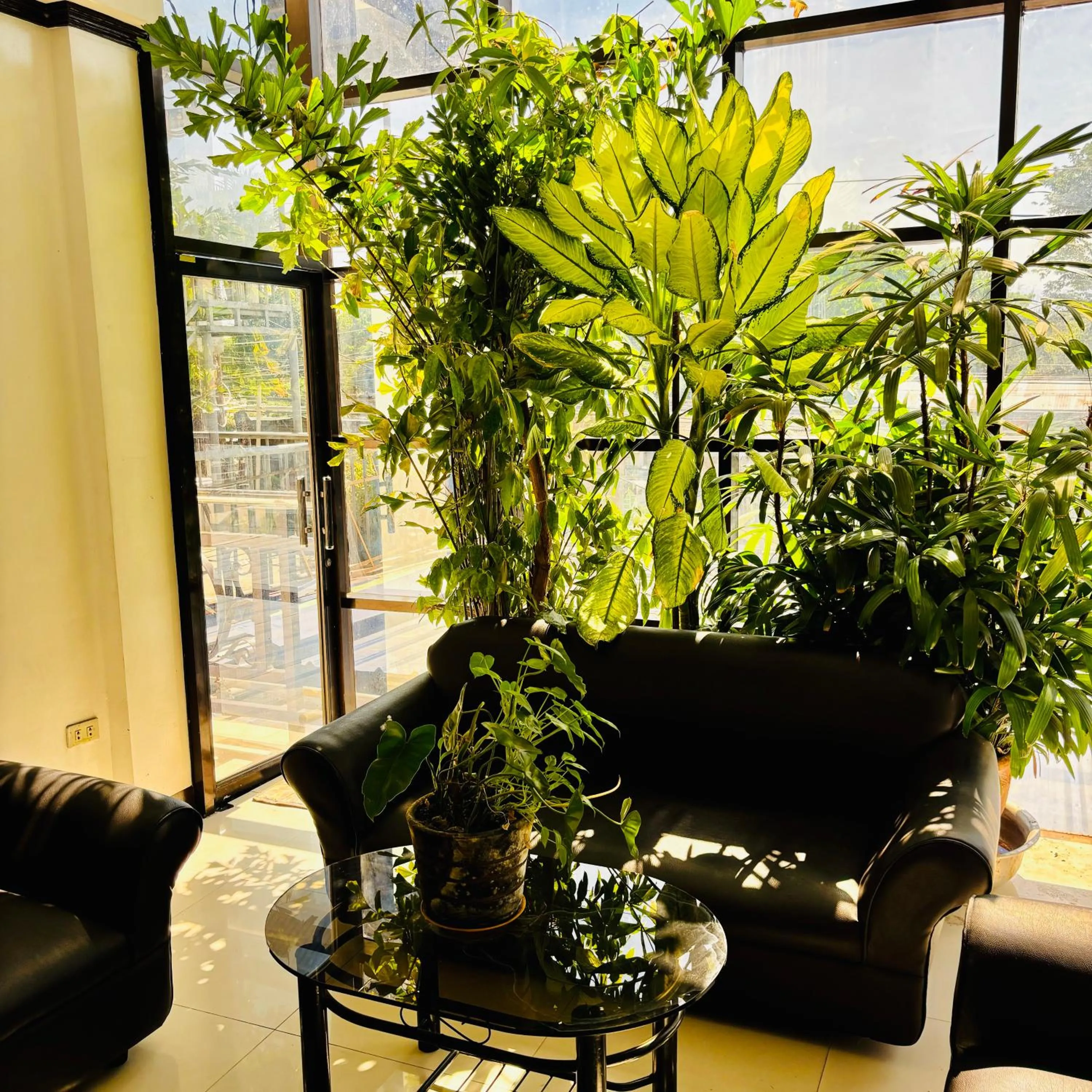 Seating area in Fatchoi Hotel