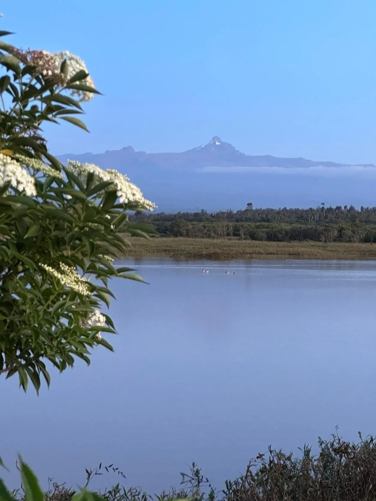 Lake view in Mukima Manor