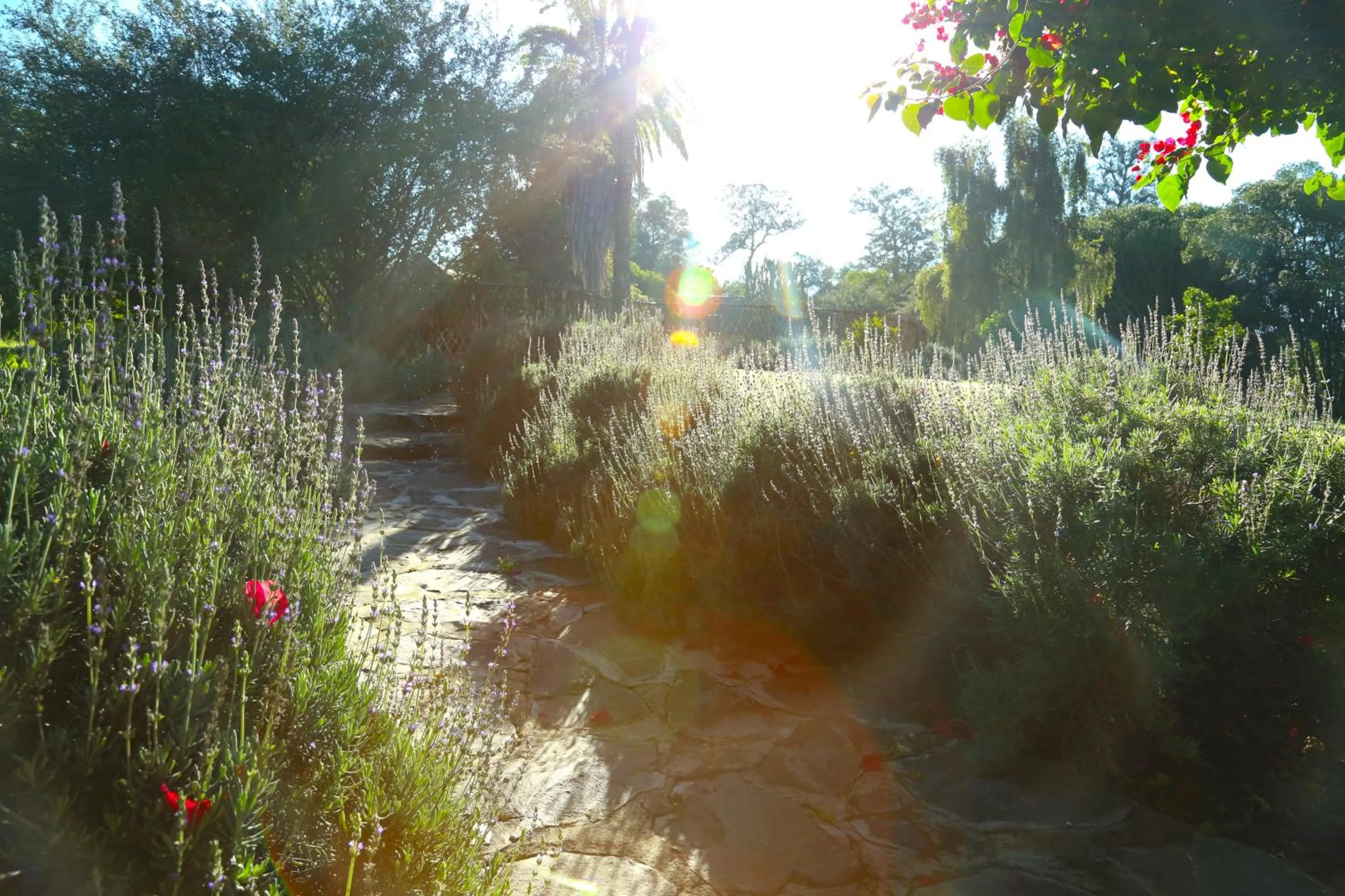 Natural landscape in Mukima Manor