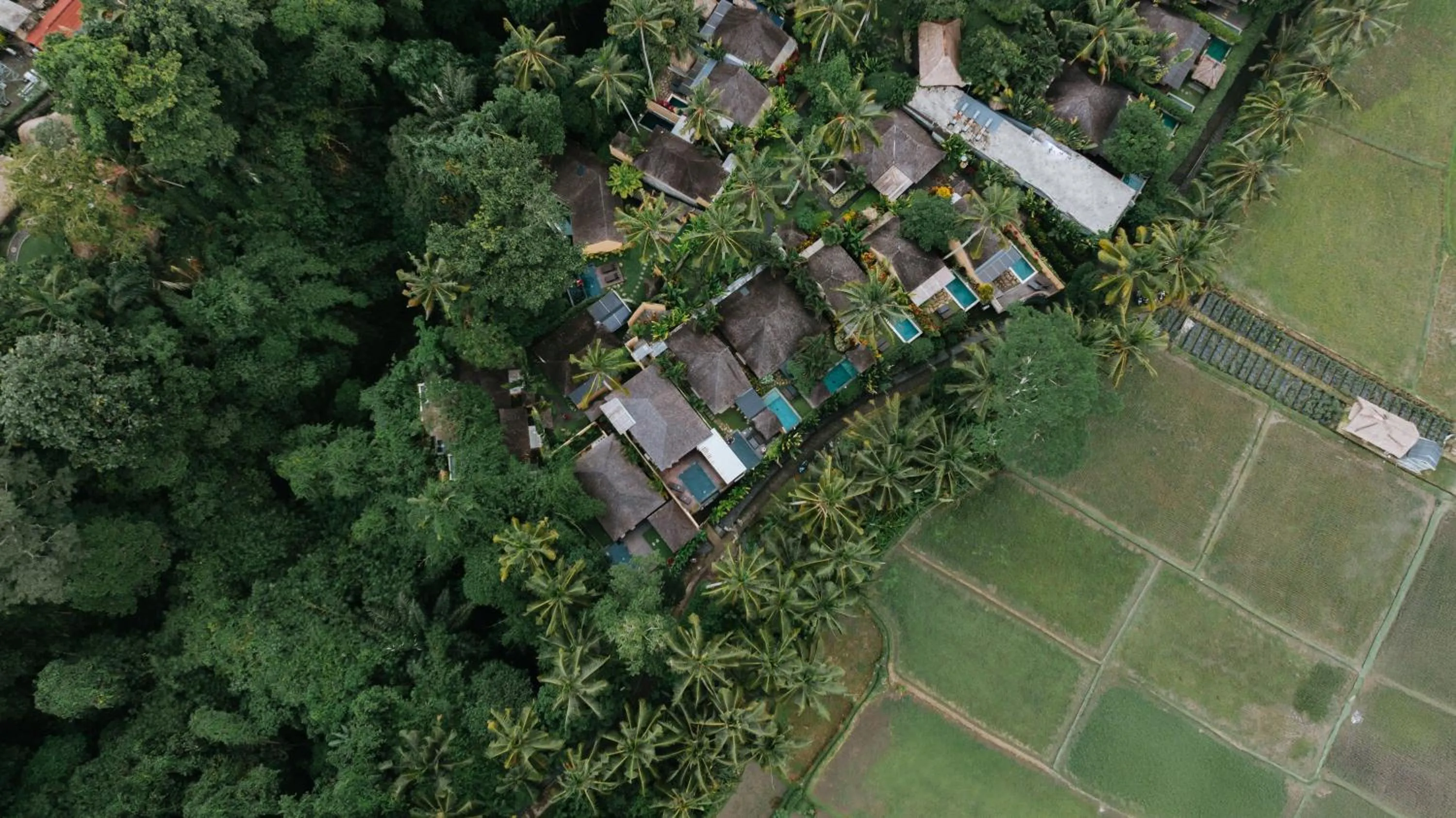 Neighbourhood in Samkhya Villas - Free 1x Floating Breakfast or Minibar