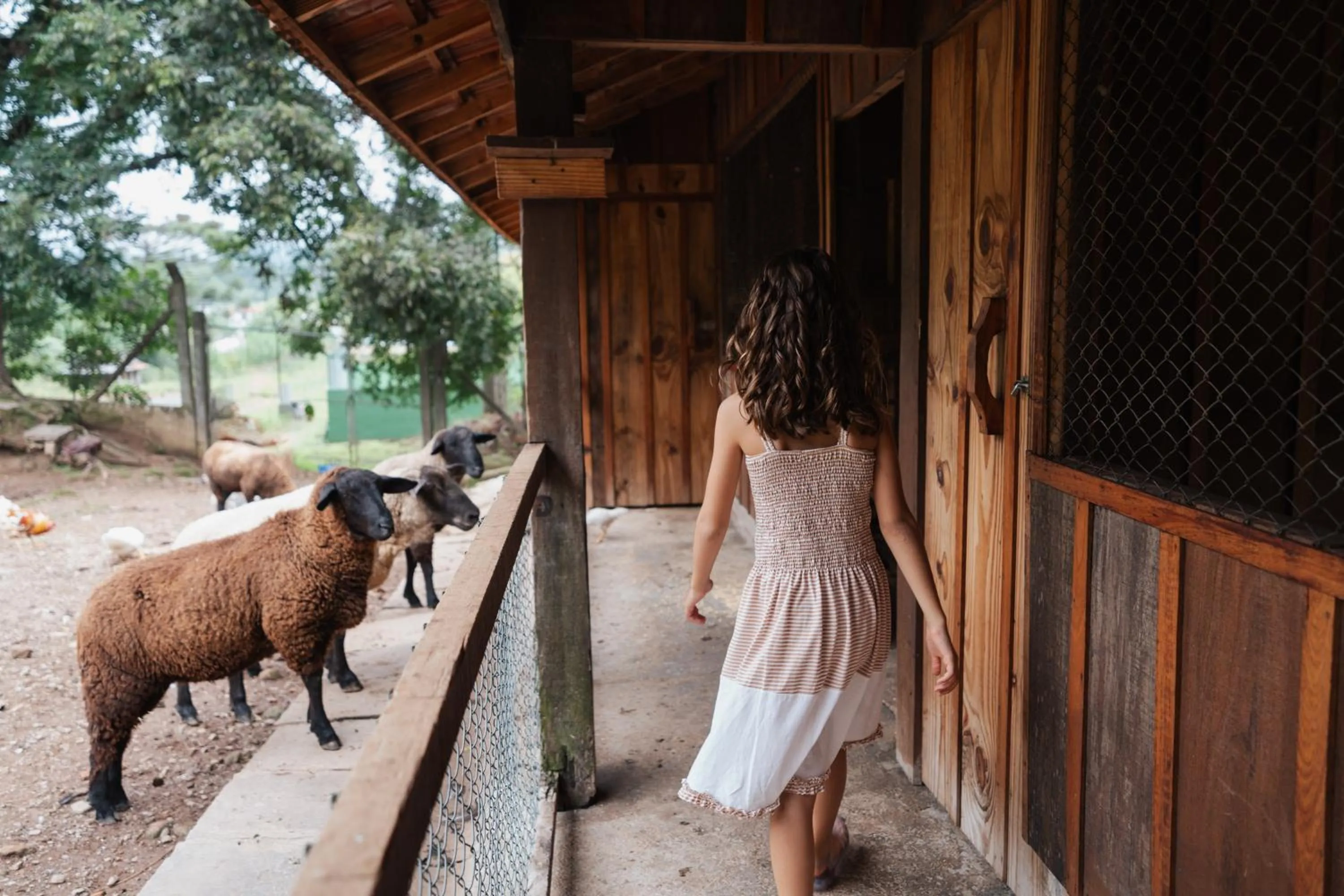 Animals in Hotel Villa Michelon