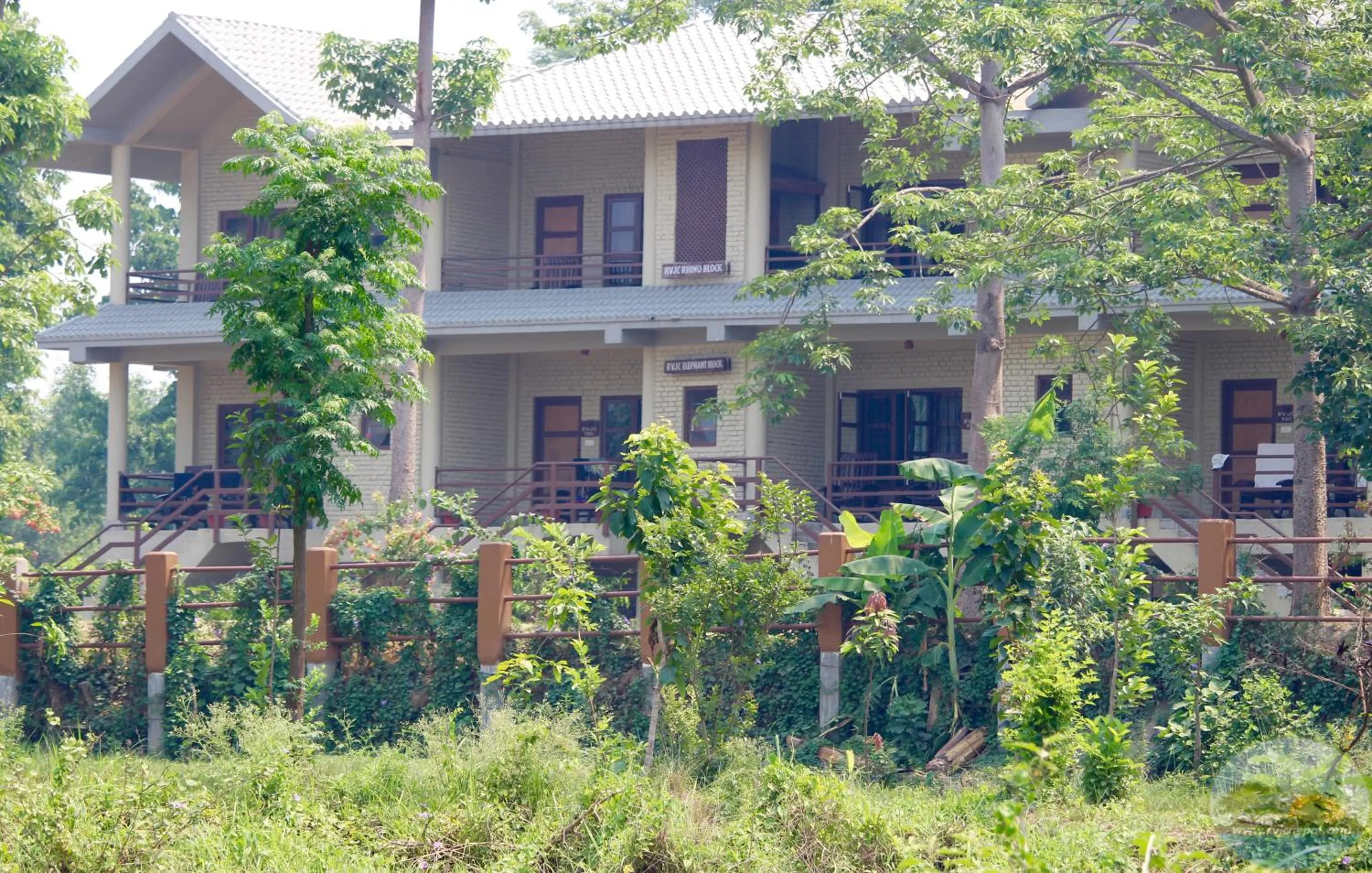 Property building in River View Jungle Camp