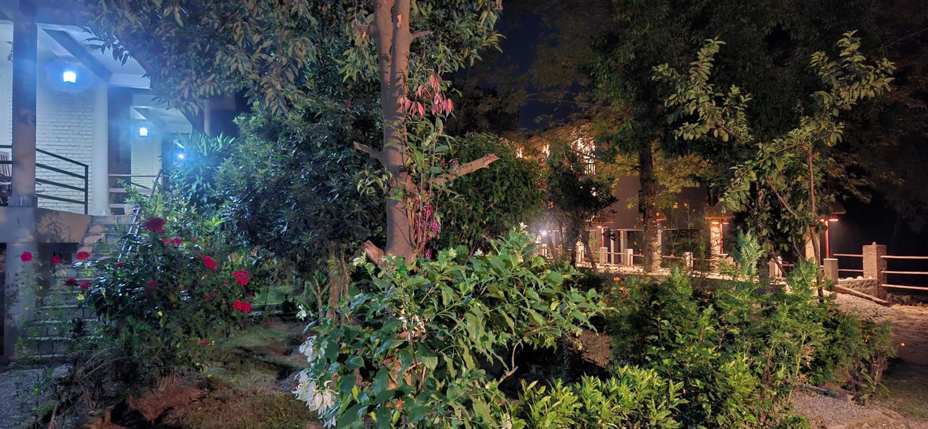 Garden in River View Jungle Camp