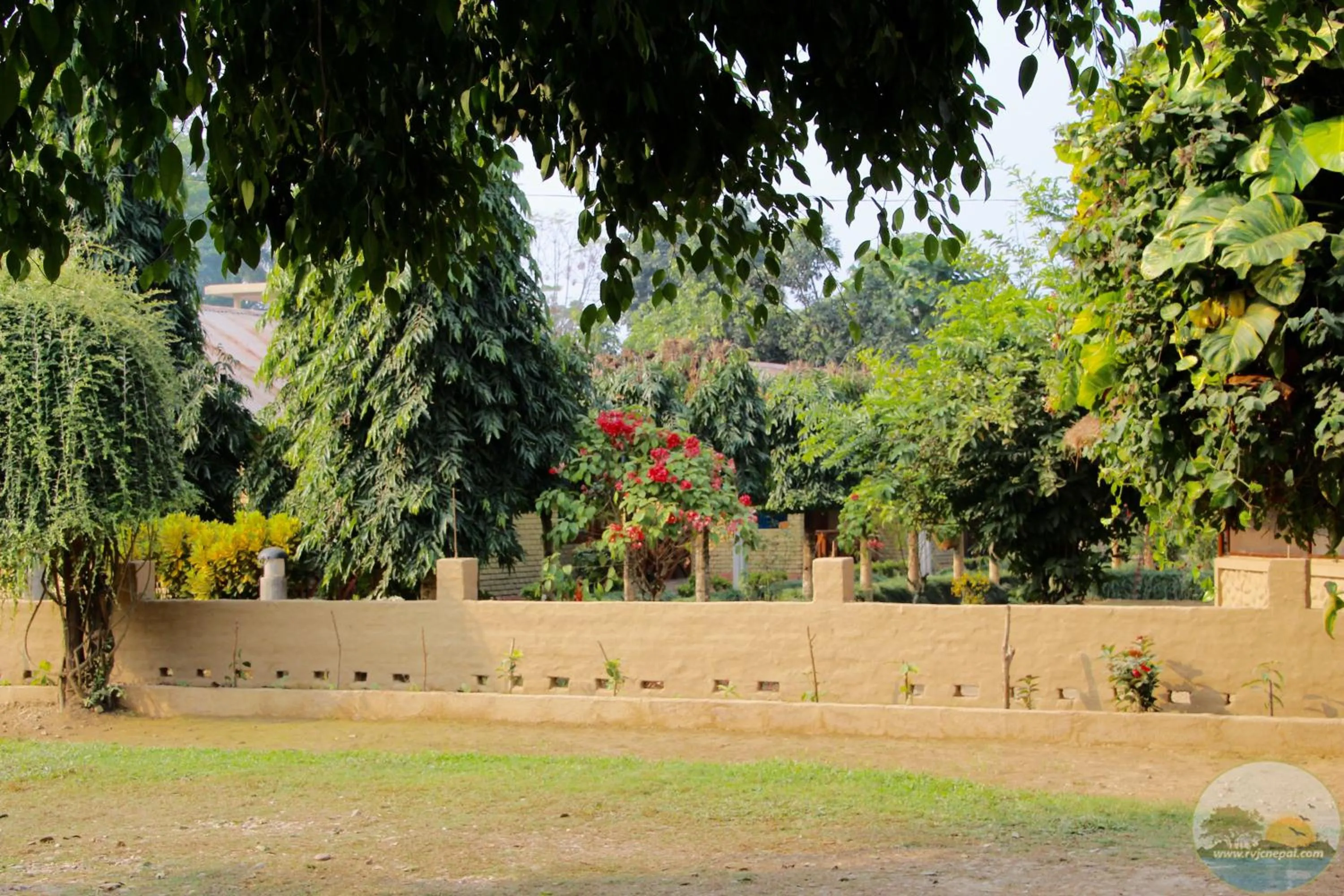 Facade/entrance in River View Jungle Camp
