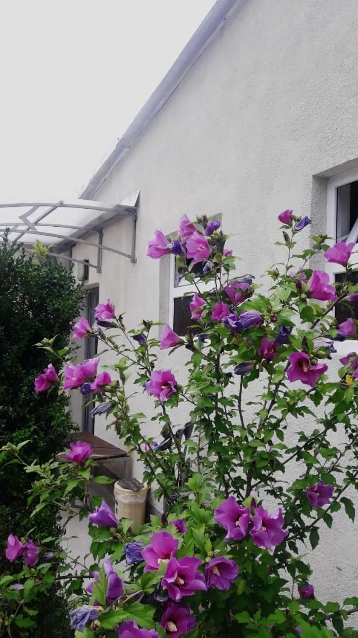Green Garden Guesthouse, Dilijan