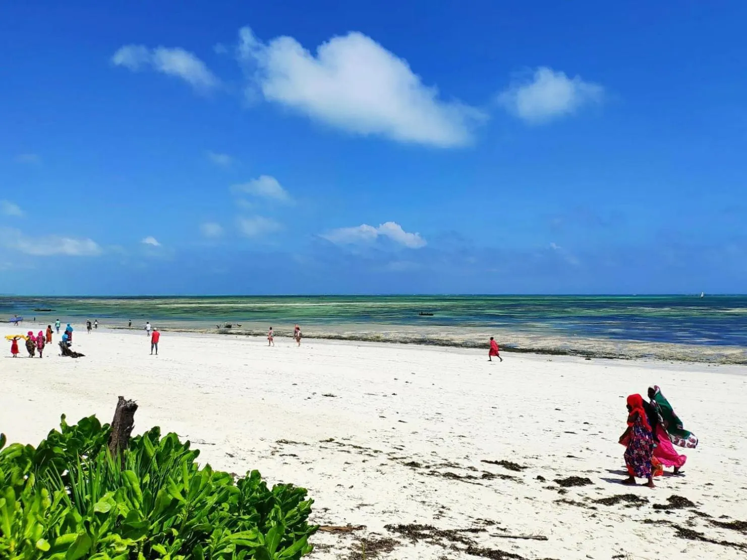 People in Kobe House