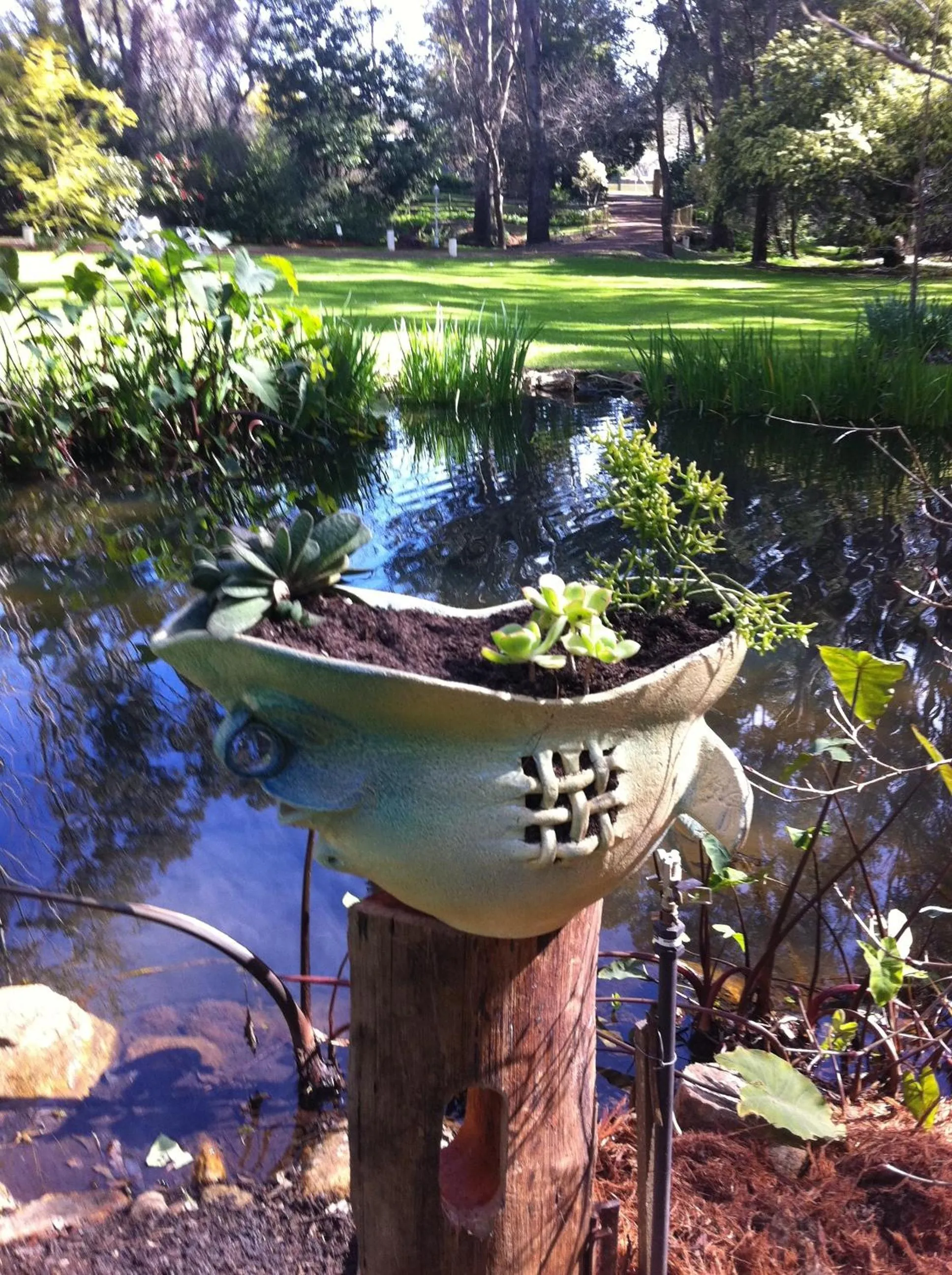 Garden in Holberry House