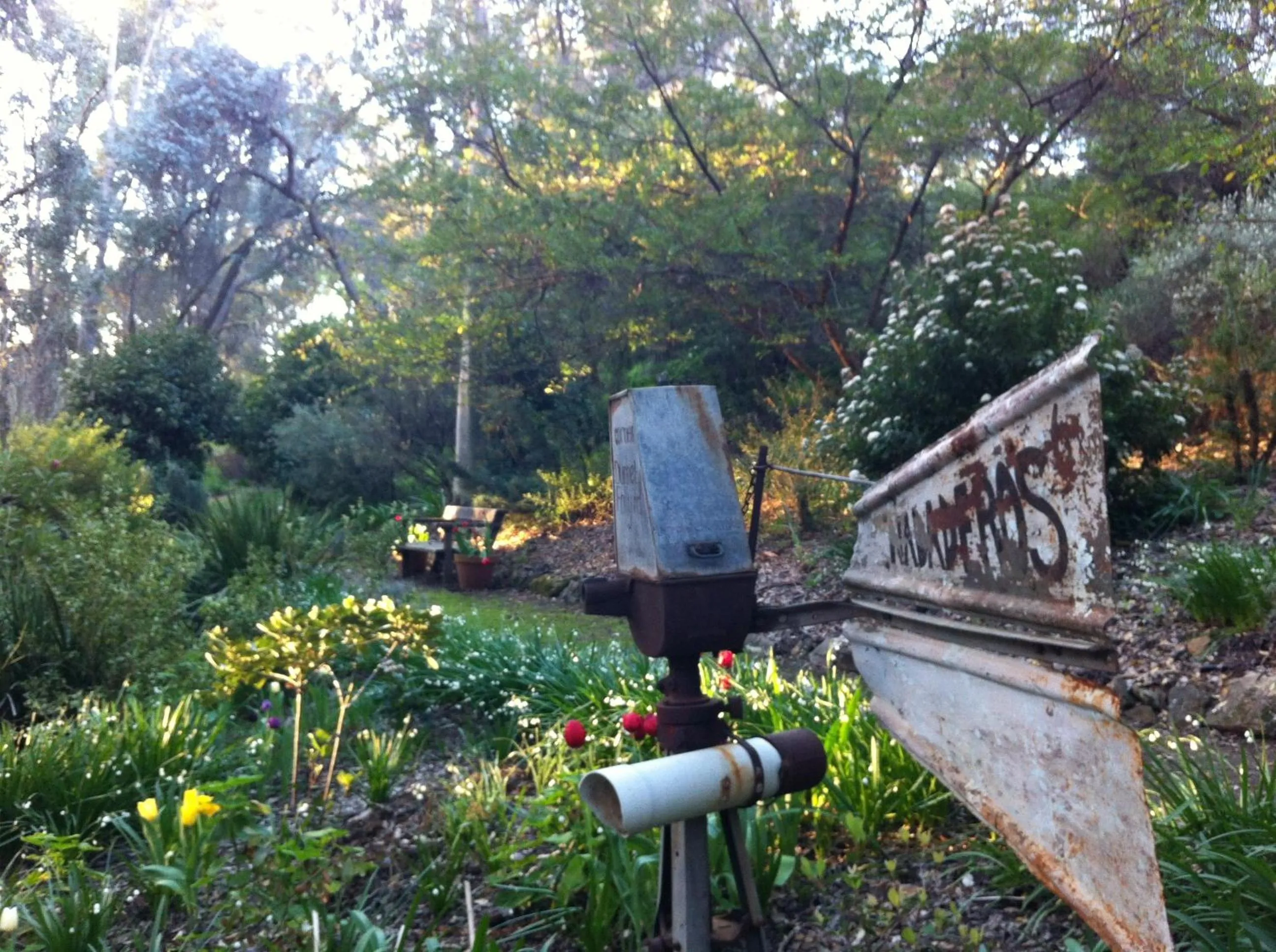 Garden in Holberry House