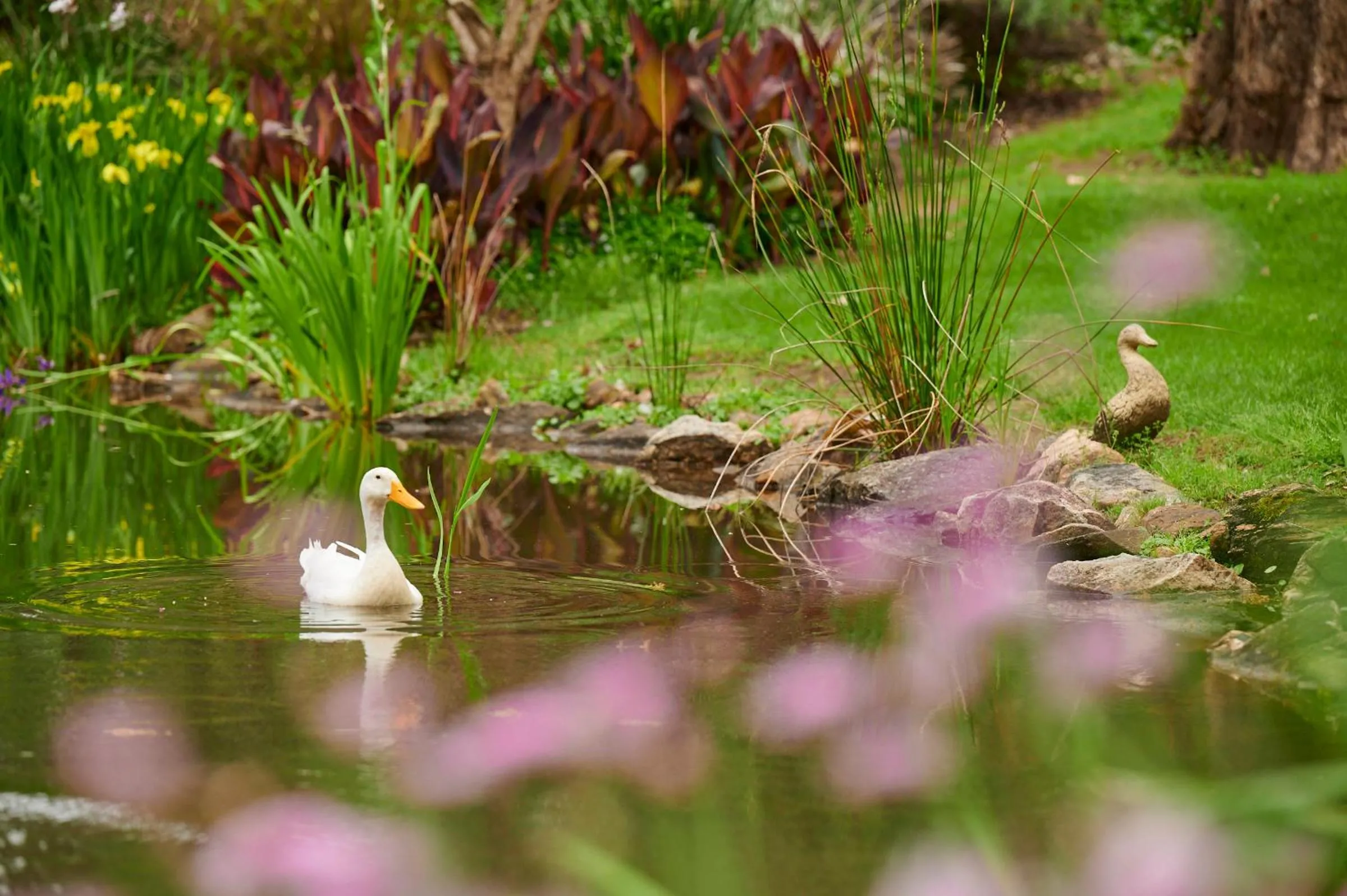 Garden view in Holberry House