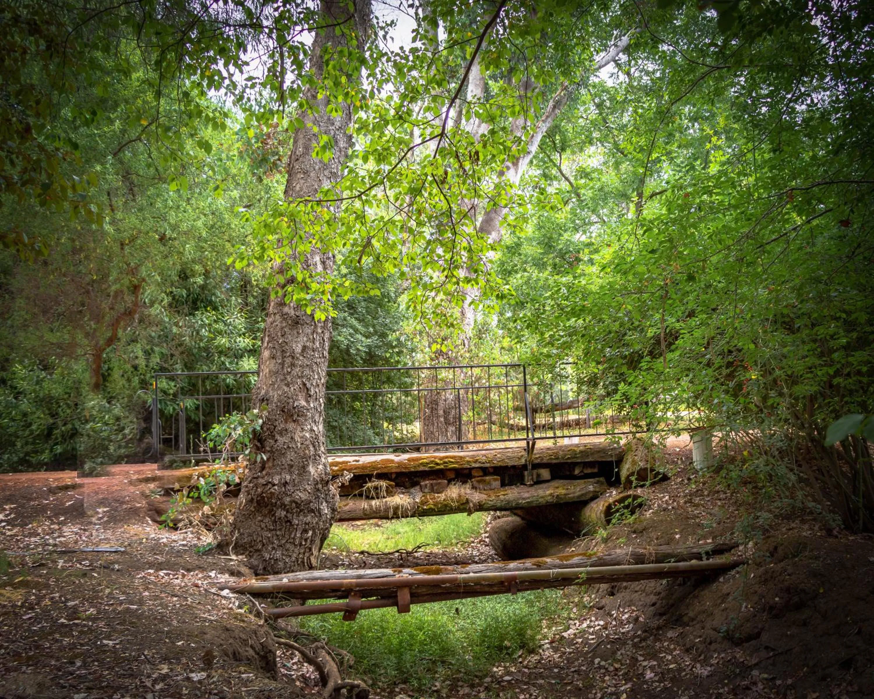 Natural landscape in Holberry House