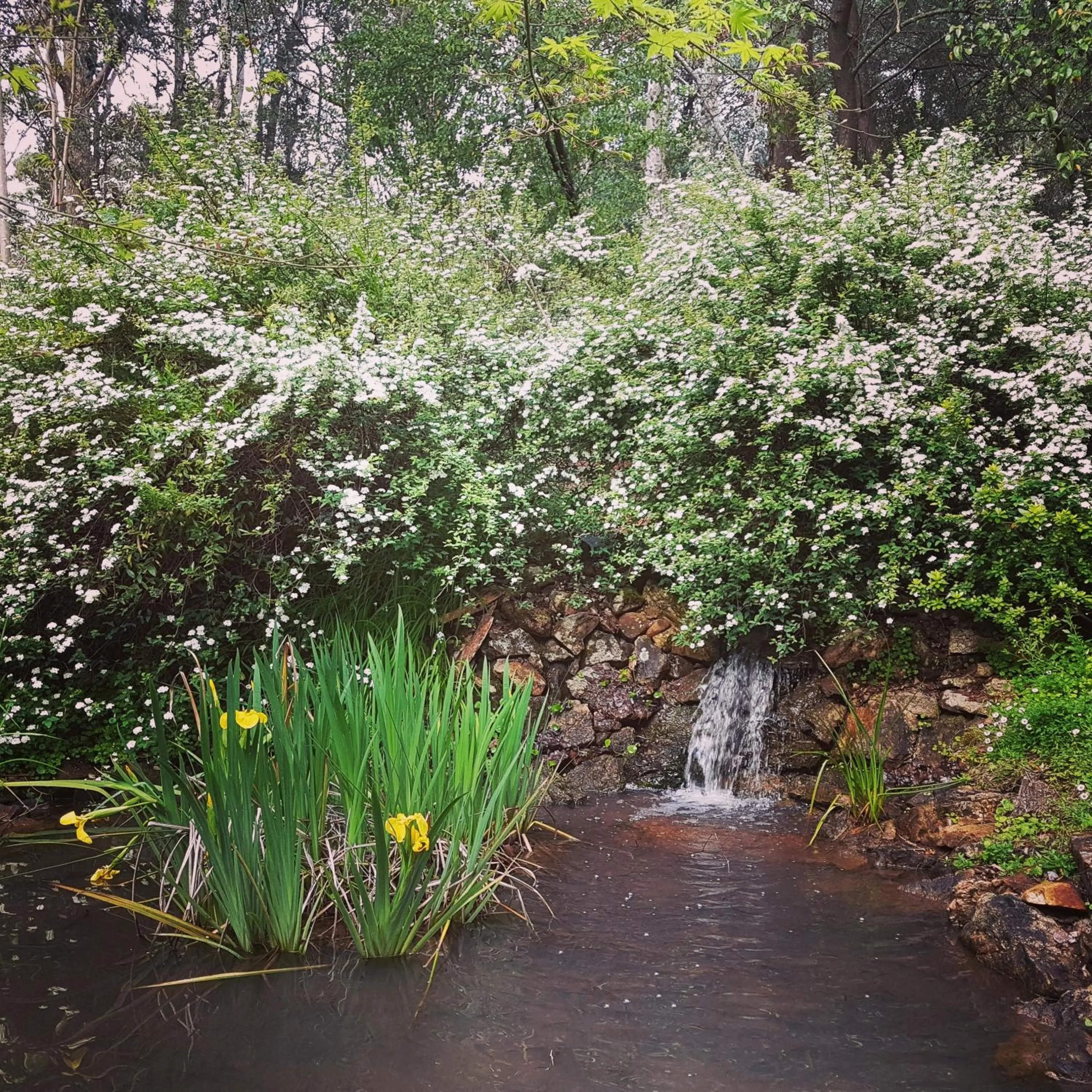 Natural landscape in Holberry House