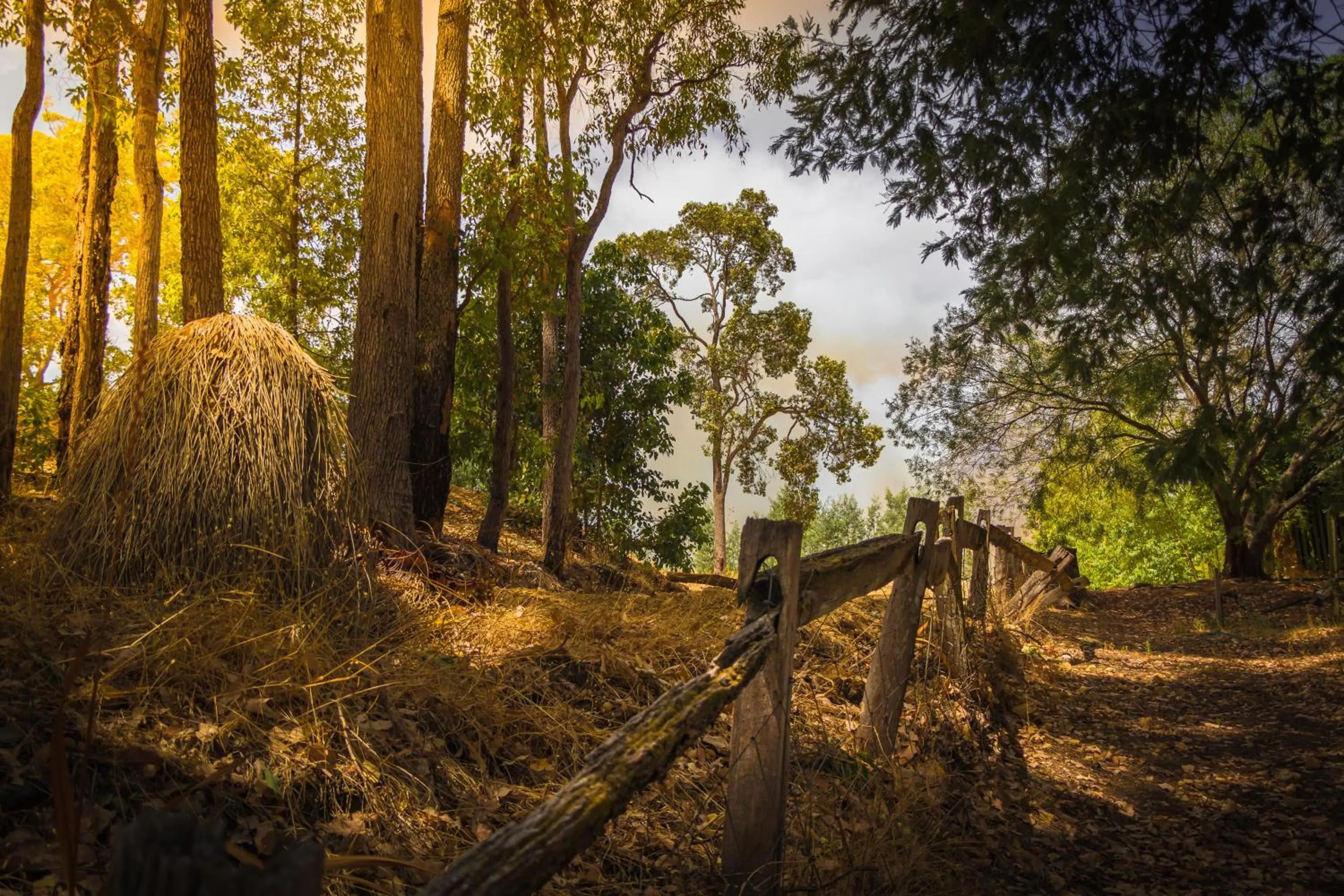 Natural landscape in Holberry House