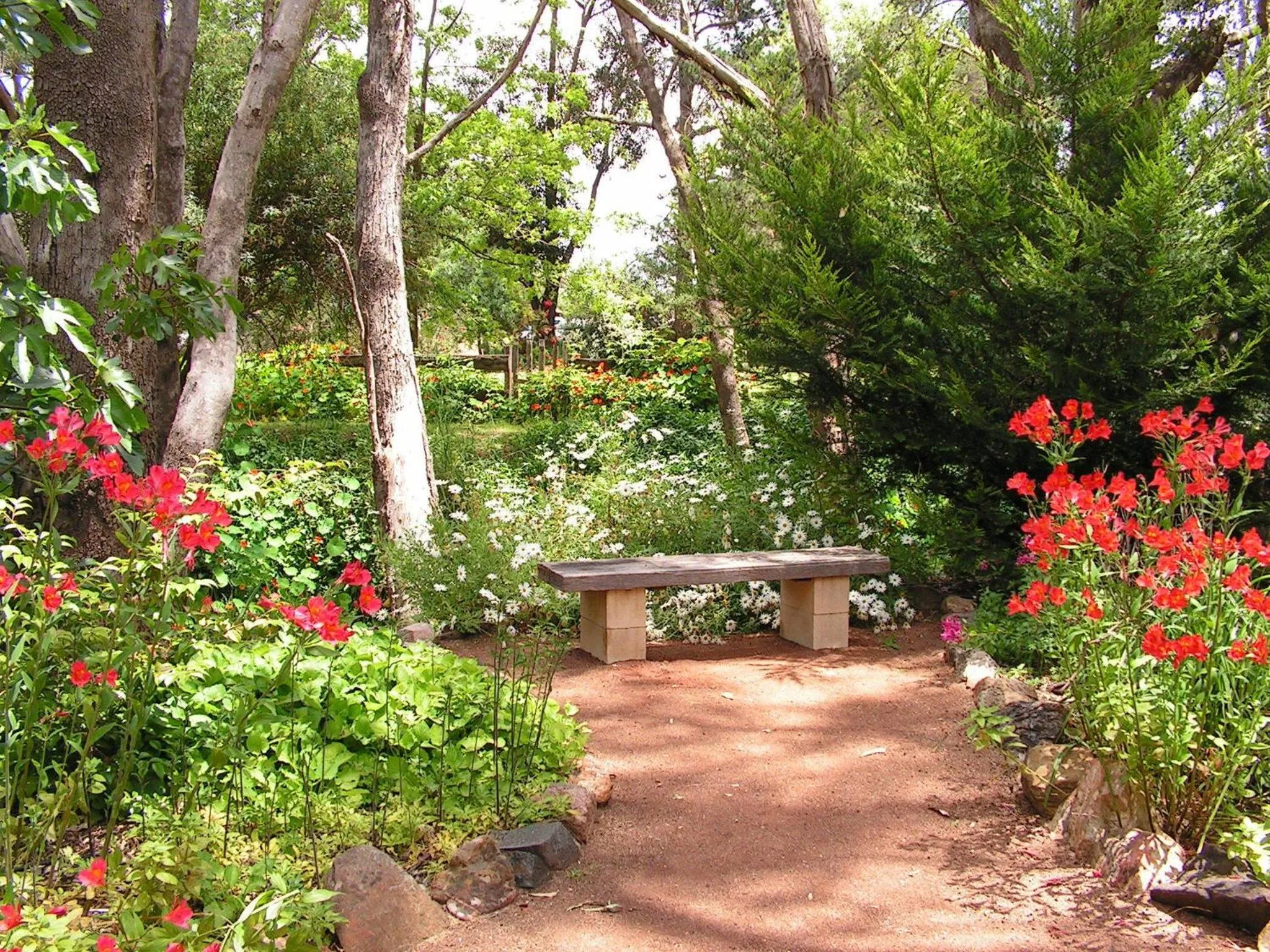 Garden in Holberry House
