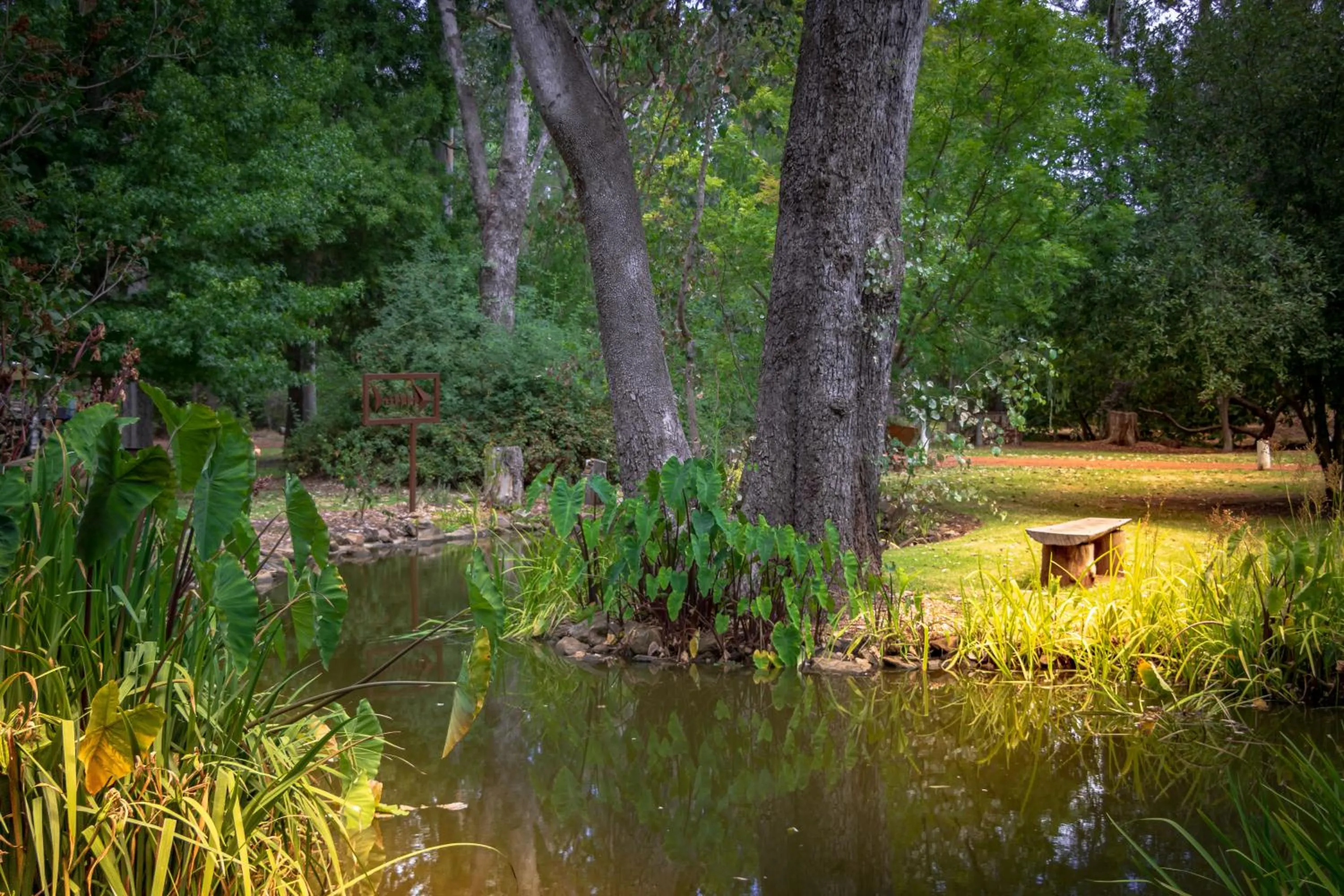 Natural landscape in Holberry House