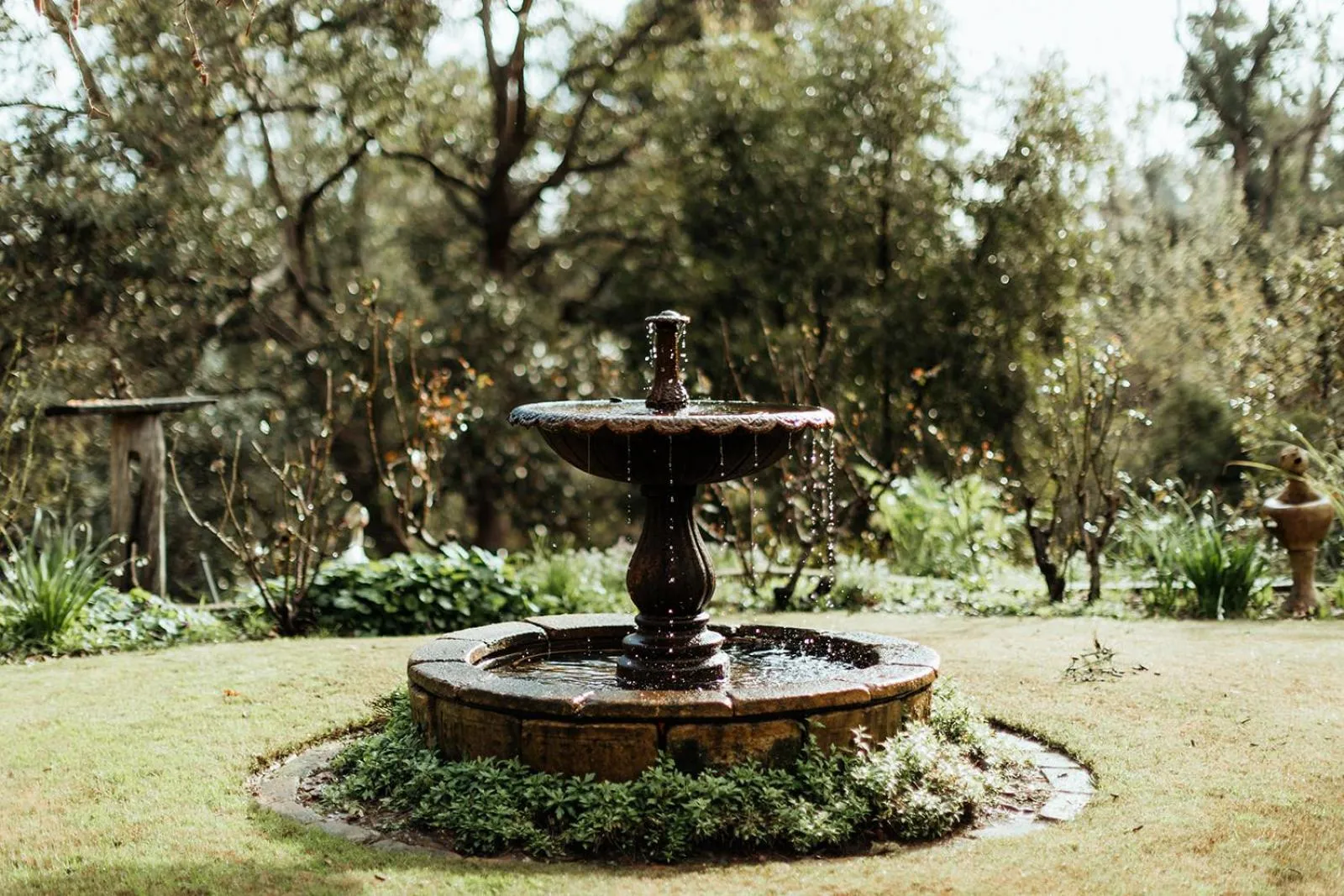 Garden in Holberry House