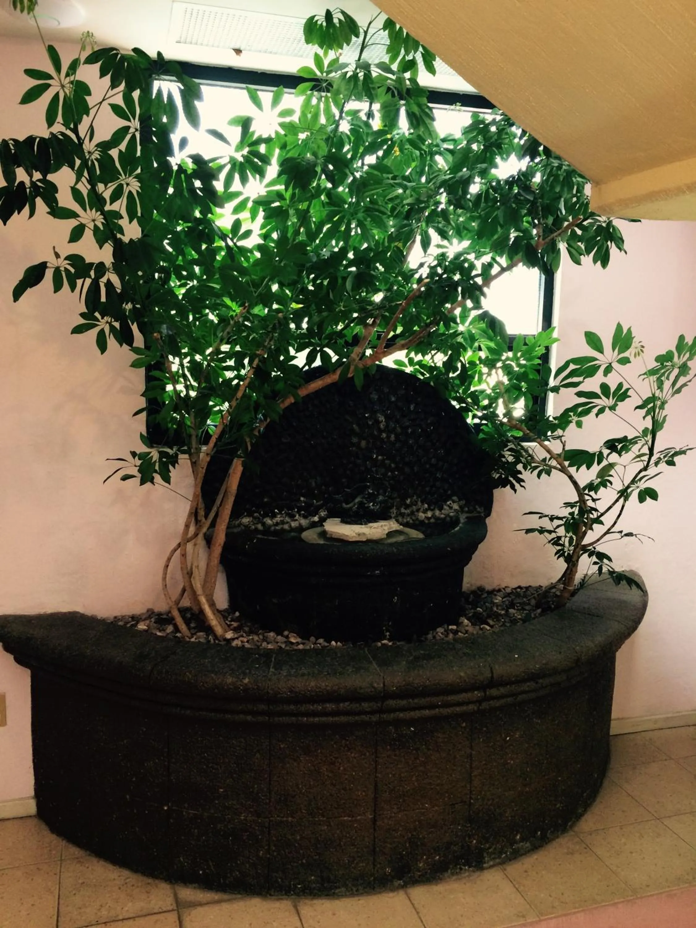 Staff in Hotel Cuellar