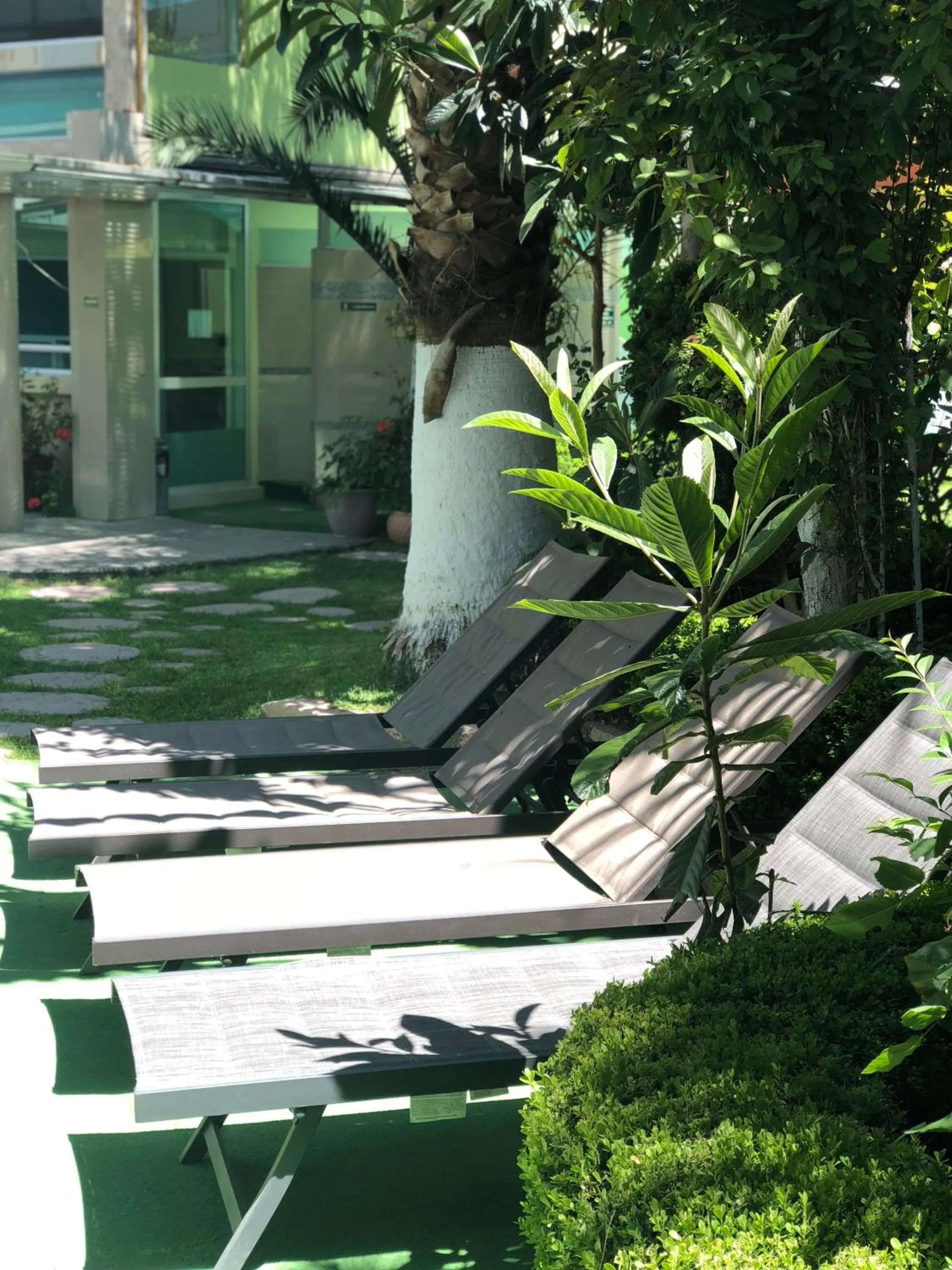 Garden in Hotel Cuellar
