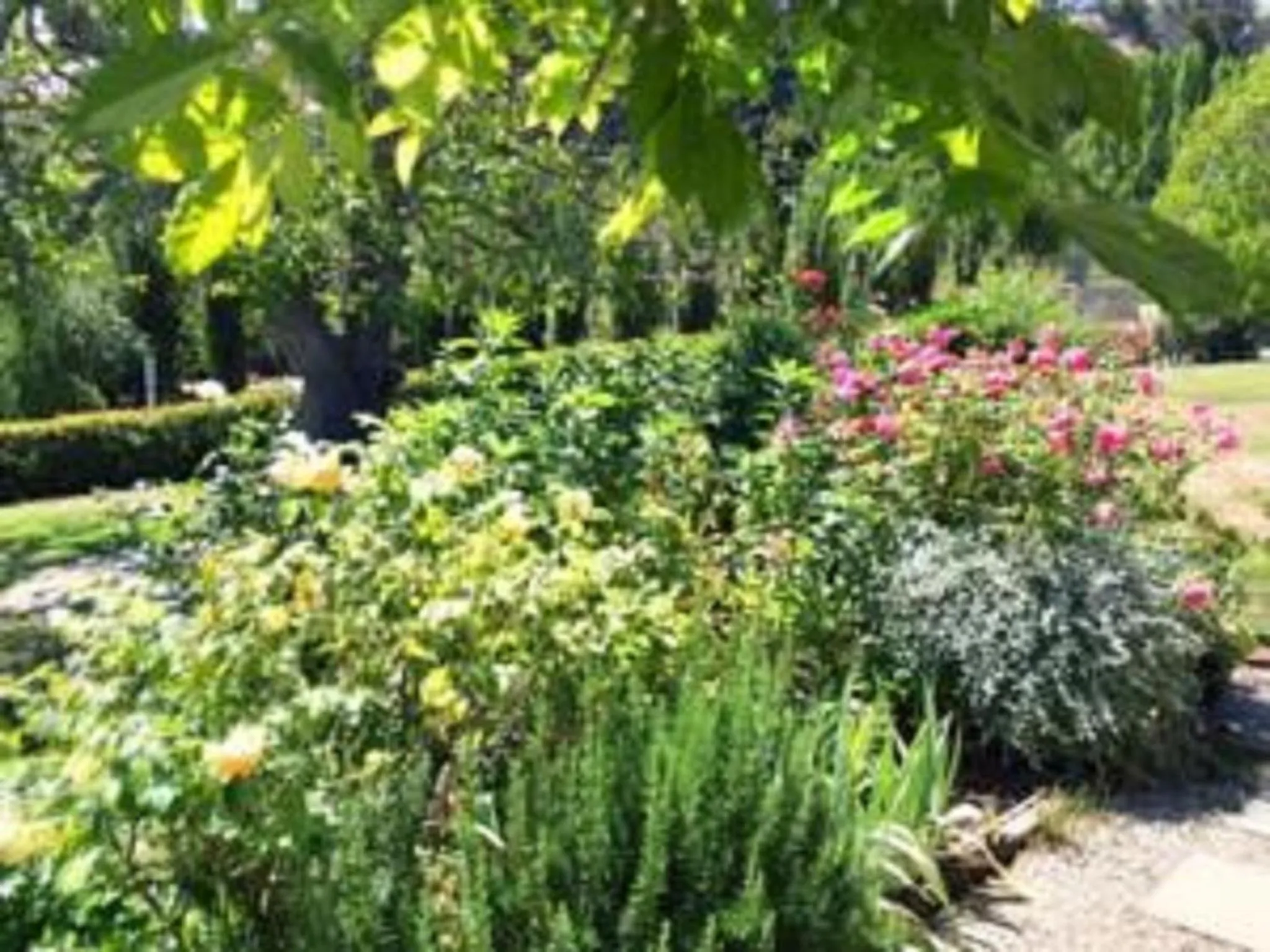 Garden in L'abri Bed and Breakfast
