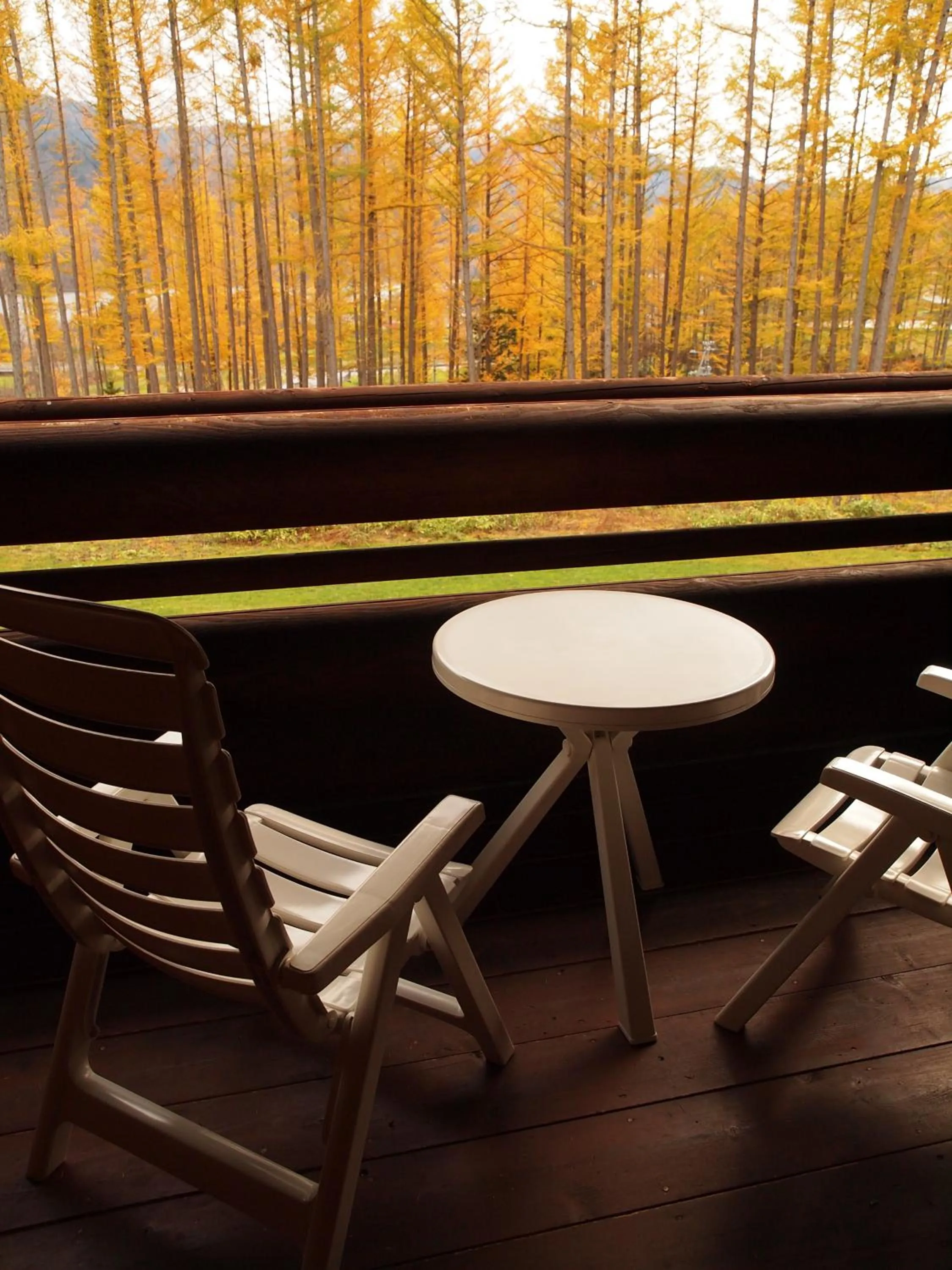 Decorative detail in Log Hotel Larch Lake Kanayama