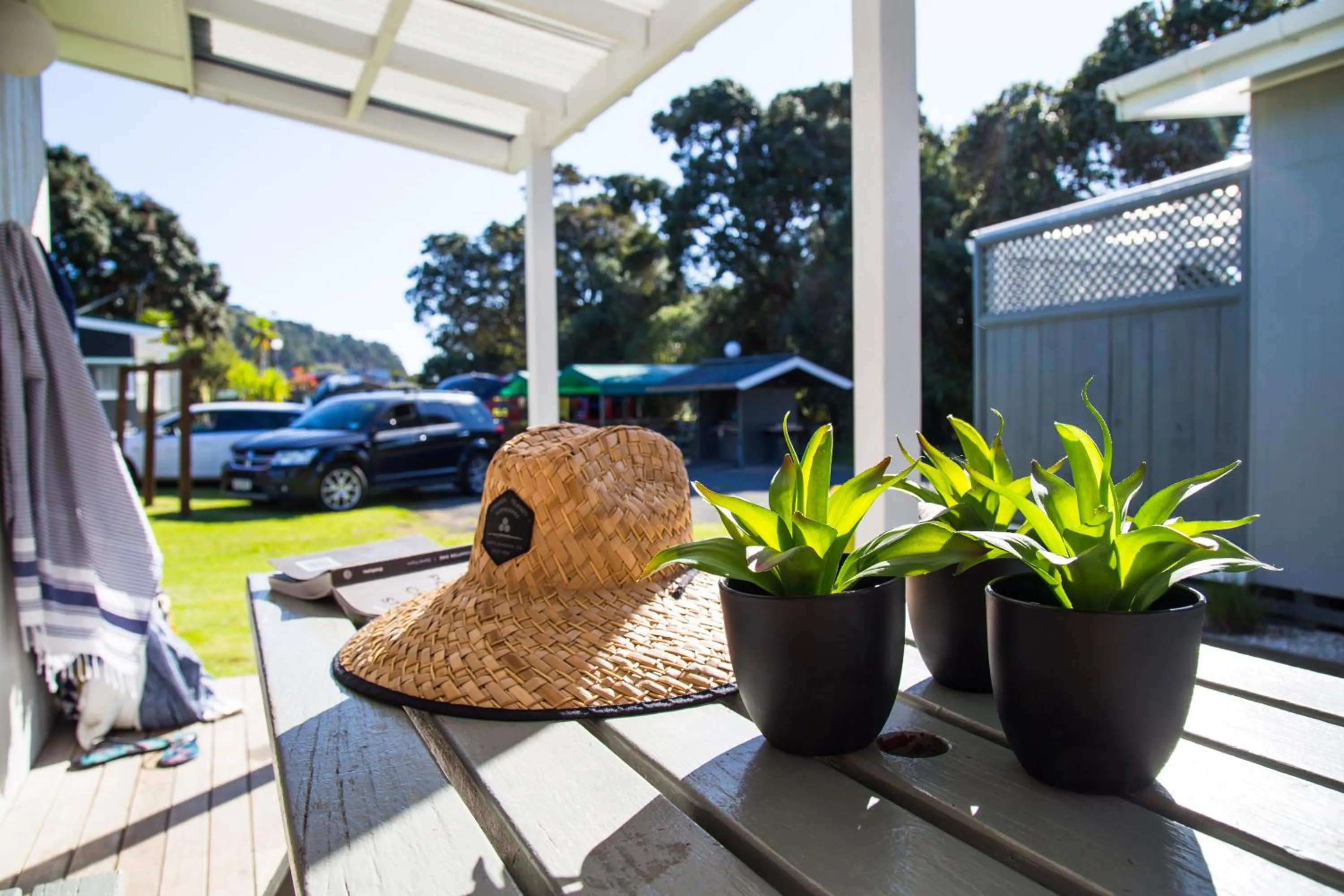 Patio in Hahei Beach Resort