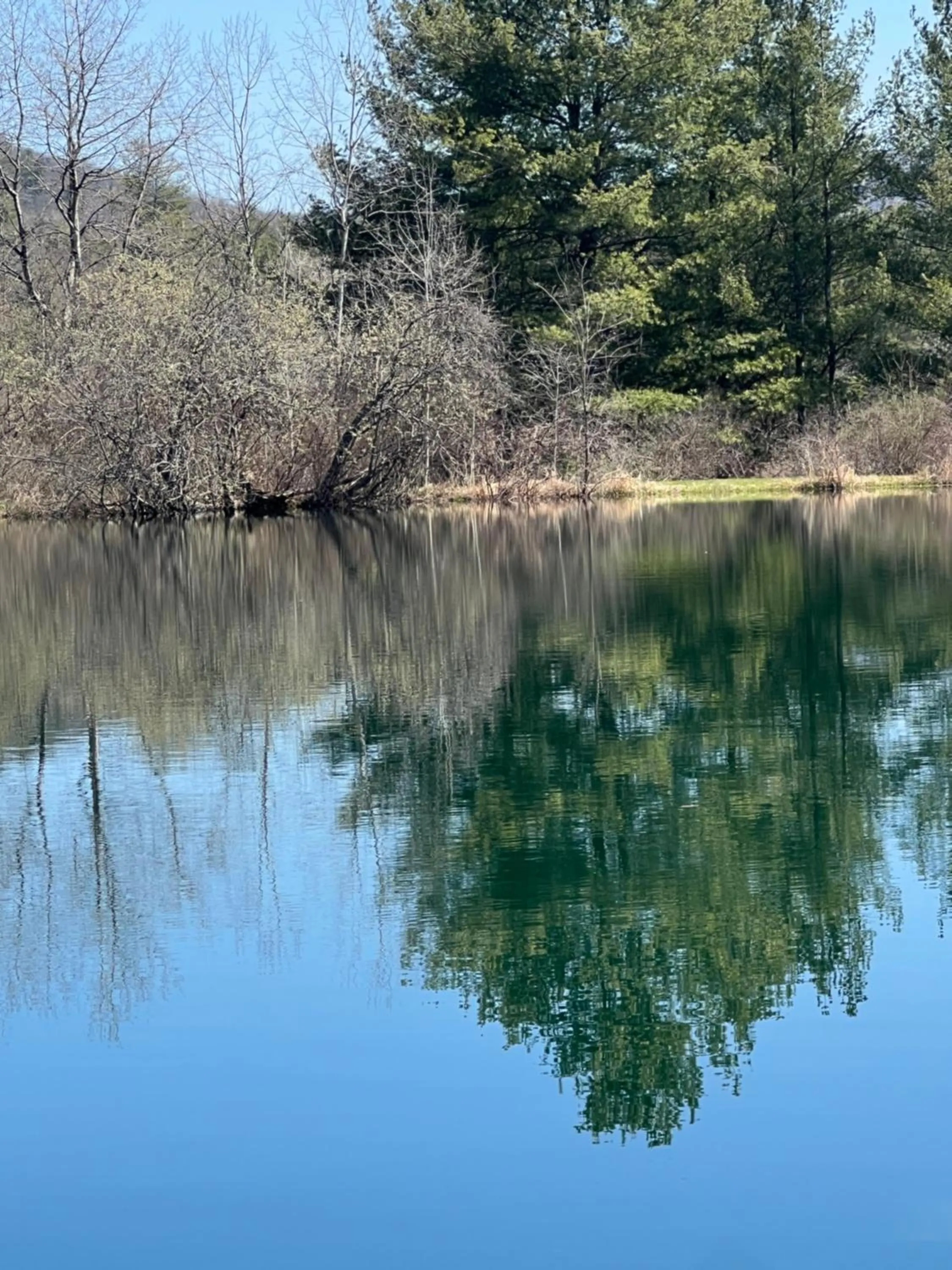 Natural landscape in Colton Point Motel