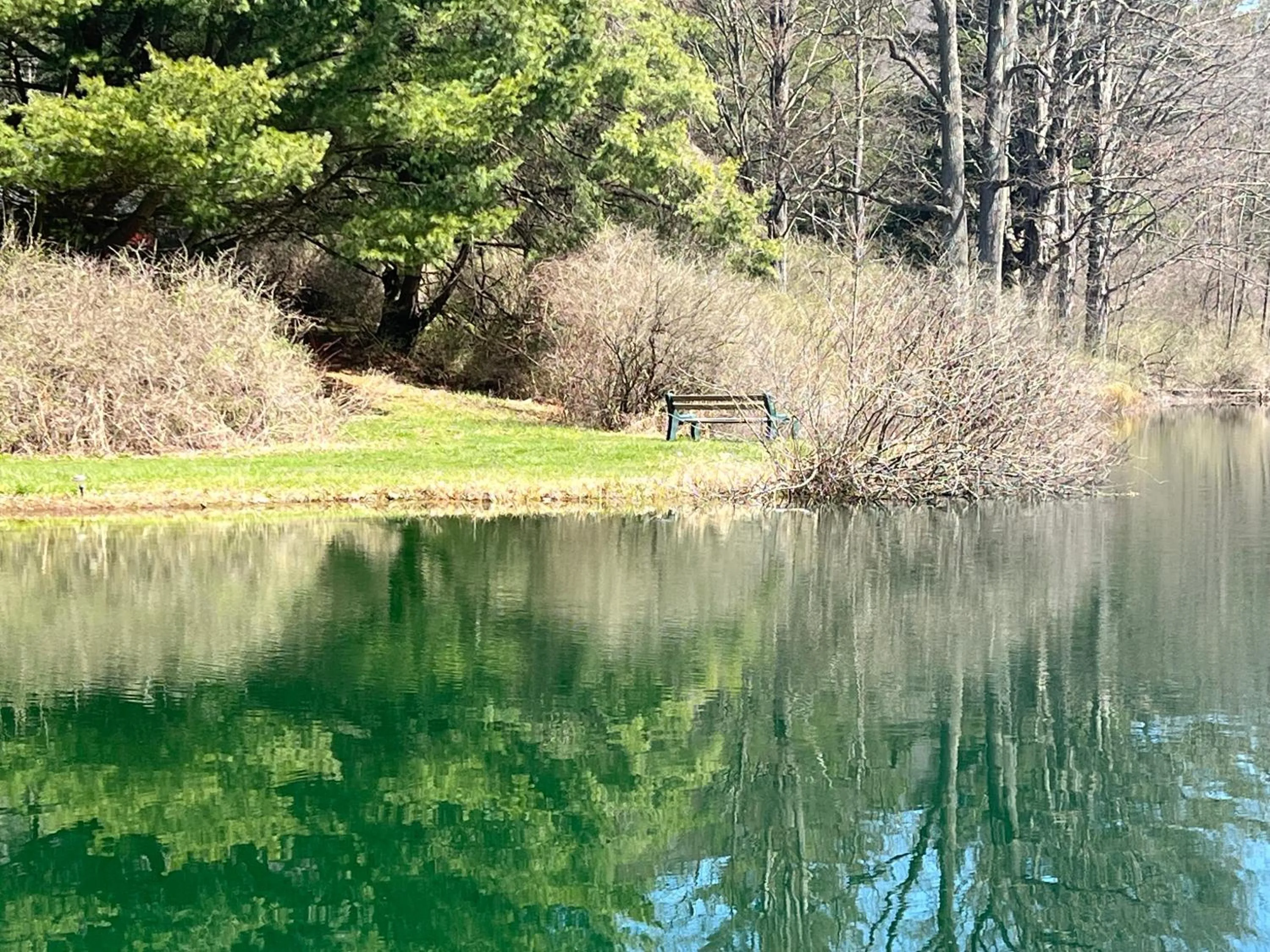 Day in Colton Point Motel