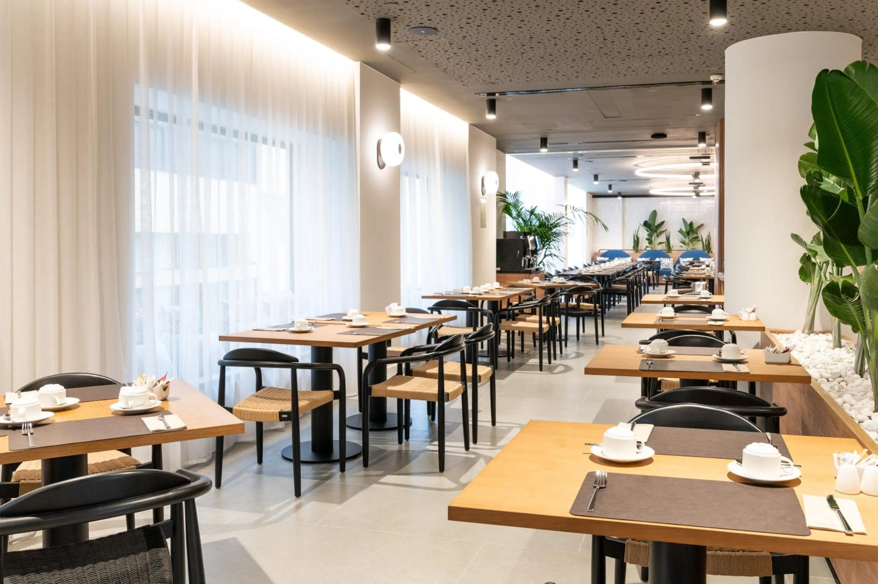 Restaurant/places to eat in Barceló Santa Cruz Contemporáneo