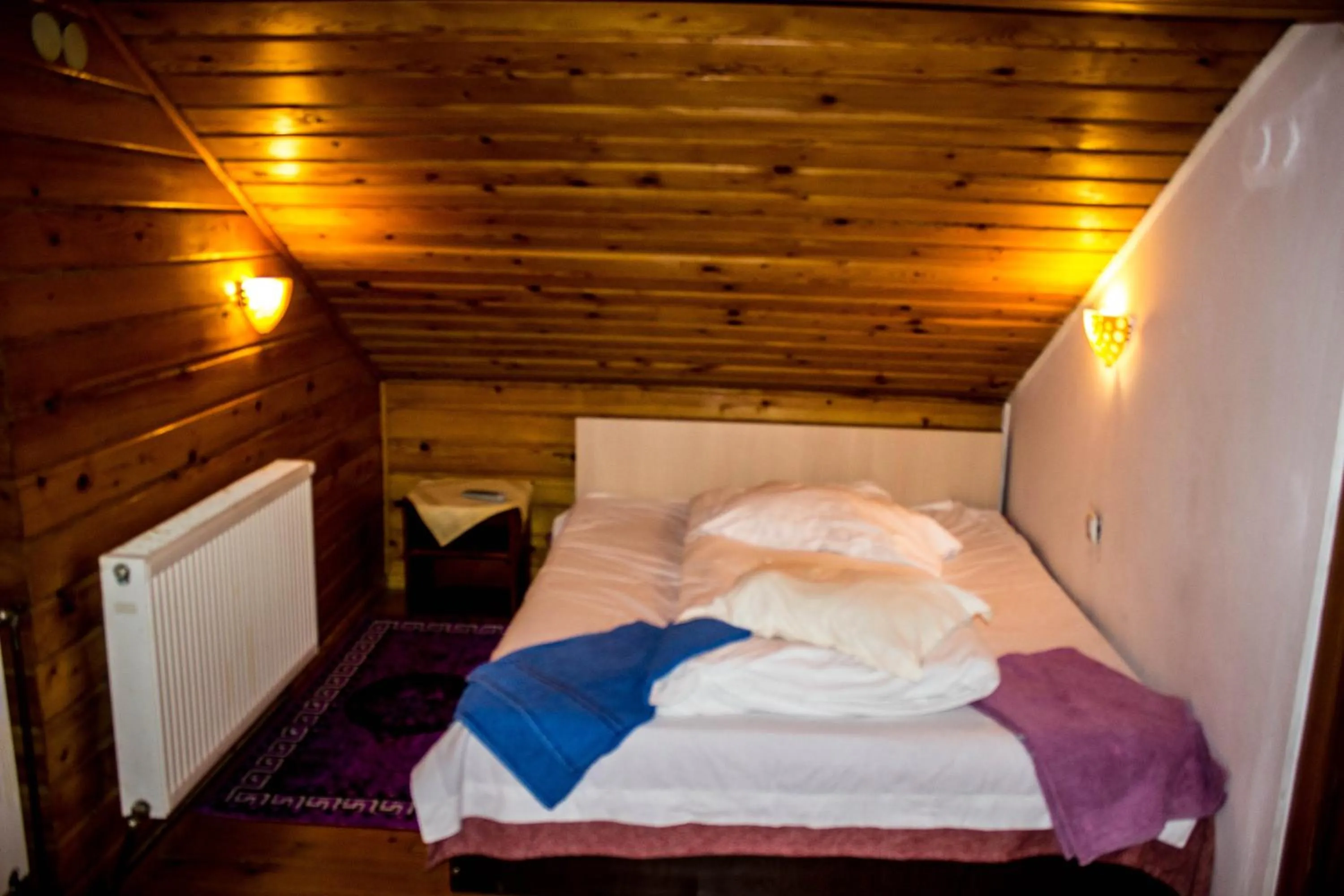 Double Room with Spa Bath in vila strugurelu hostel