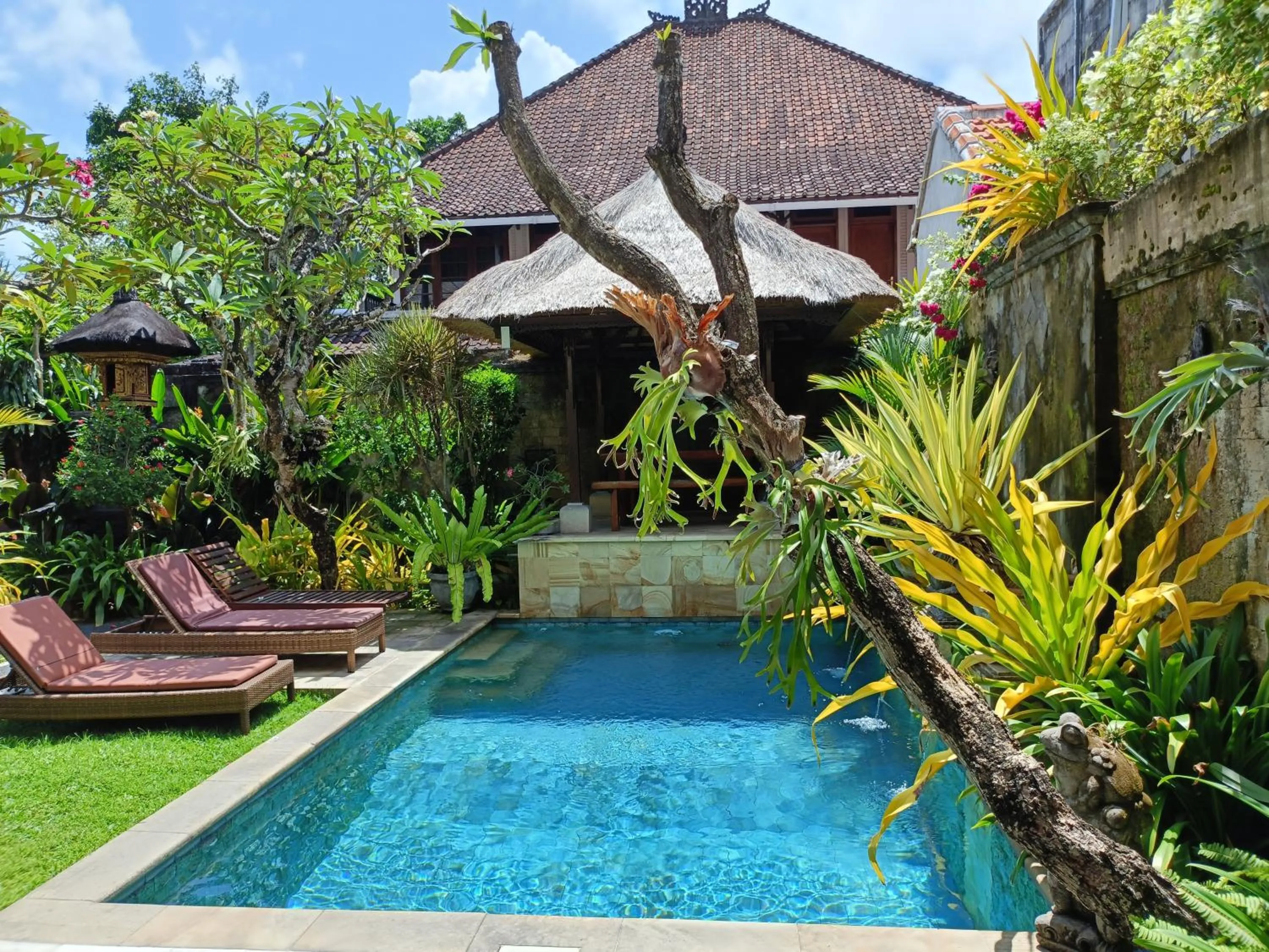 Swimming pool in Ngetis Home Stay