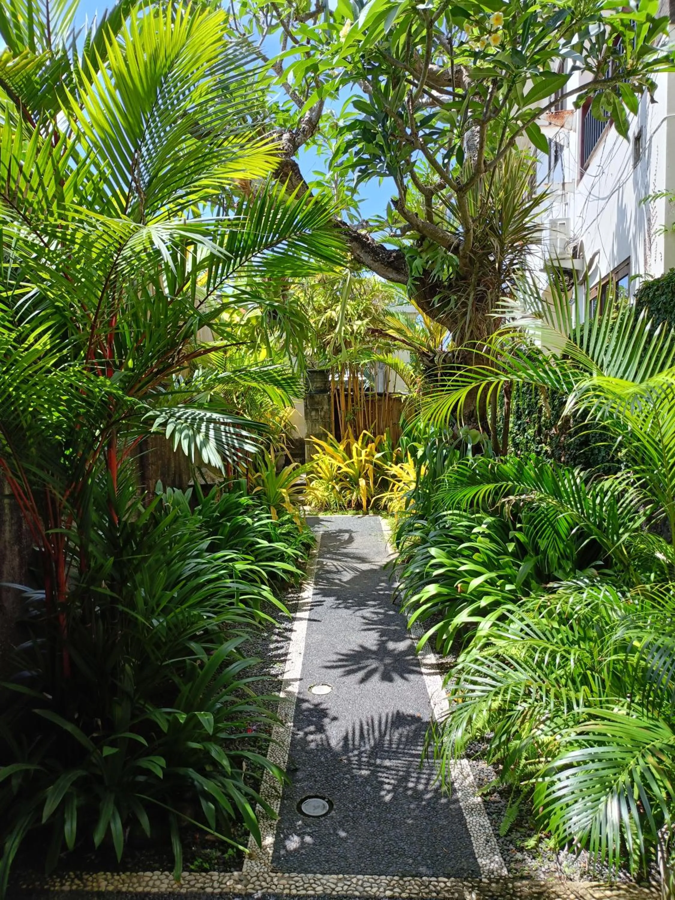 Garden view in Ngetis Home Stay