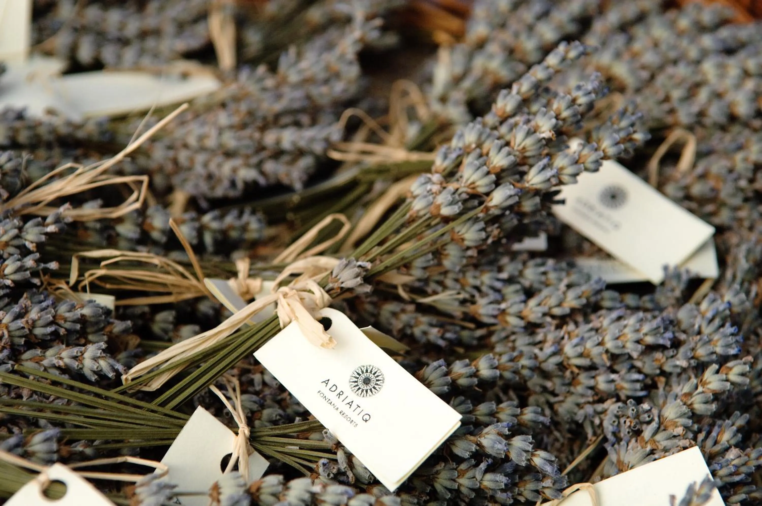 Property logo or sign in Fontana Bayside Park