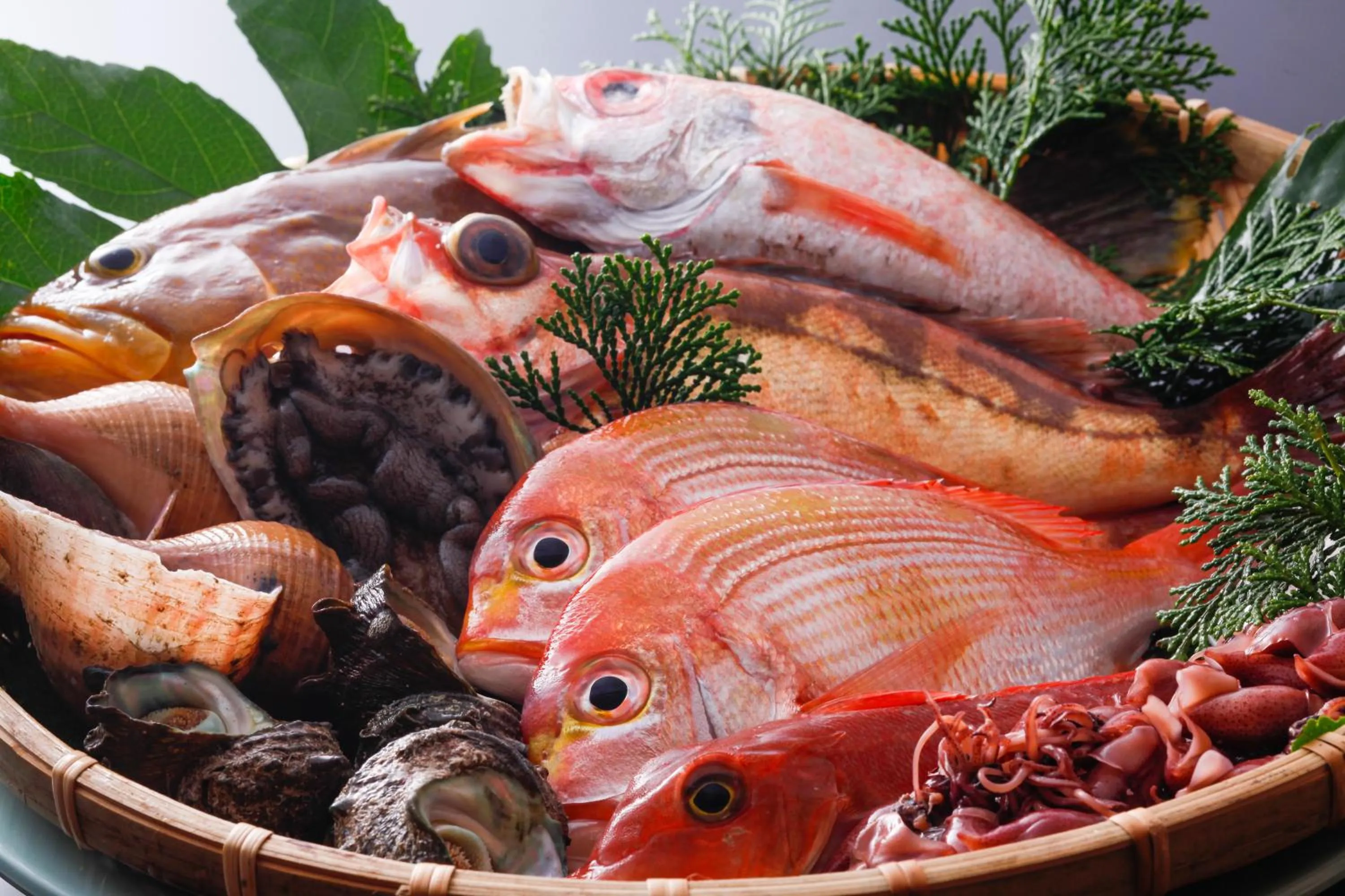 城崎温泉 旅館 つばき乃 - Kinosaki Onsen Ryokan Tsubakino