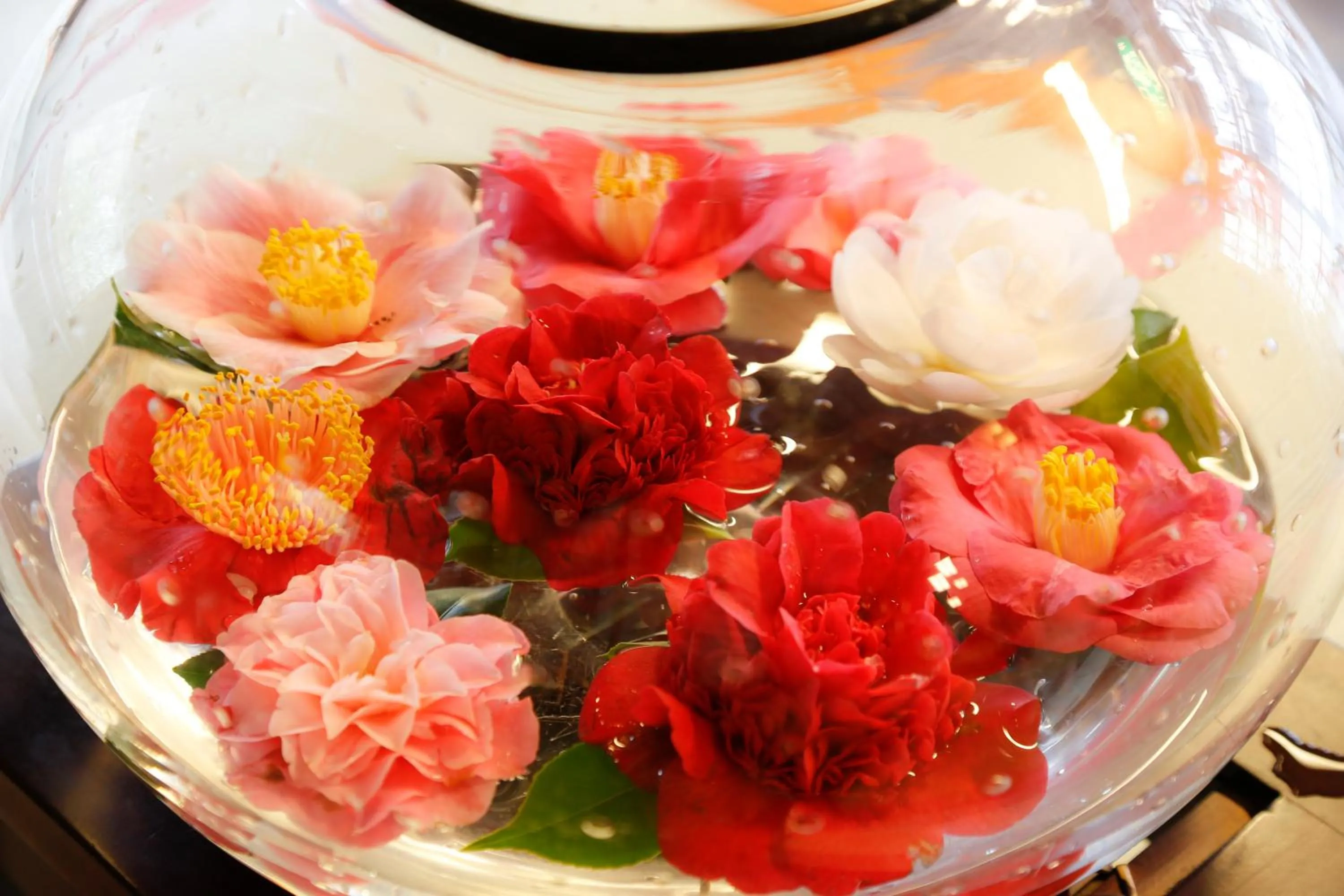 城崎温泉 旅館 つばき乃 - Kinosaki Onsen Ryokan Tsubakino