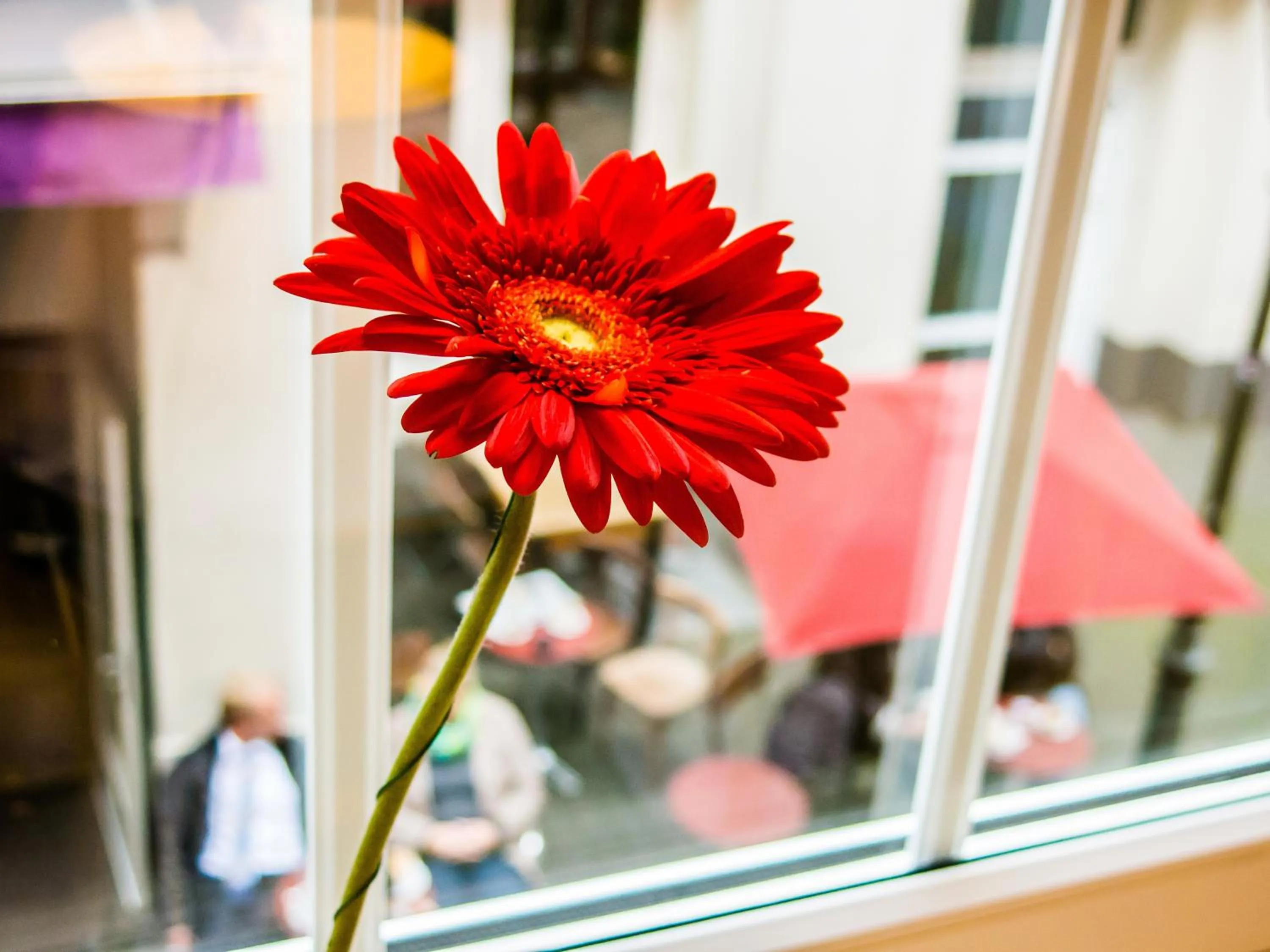 Decorative detail in The Soho Altstadt Relais
