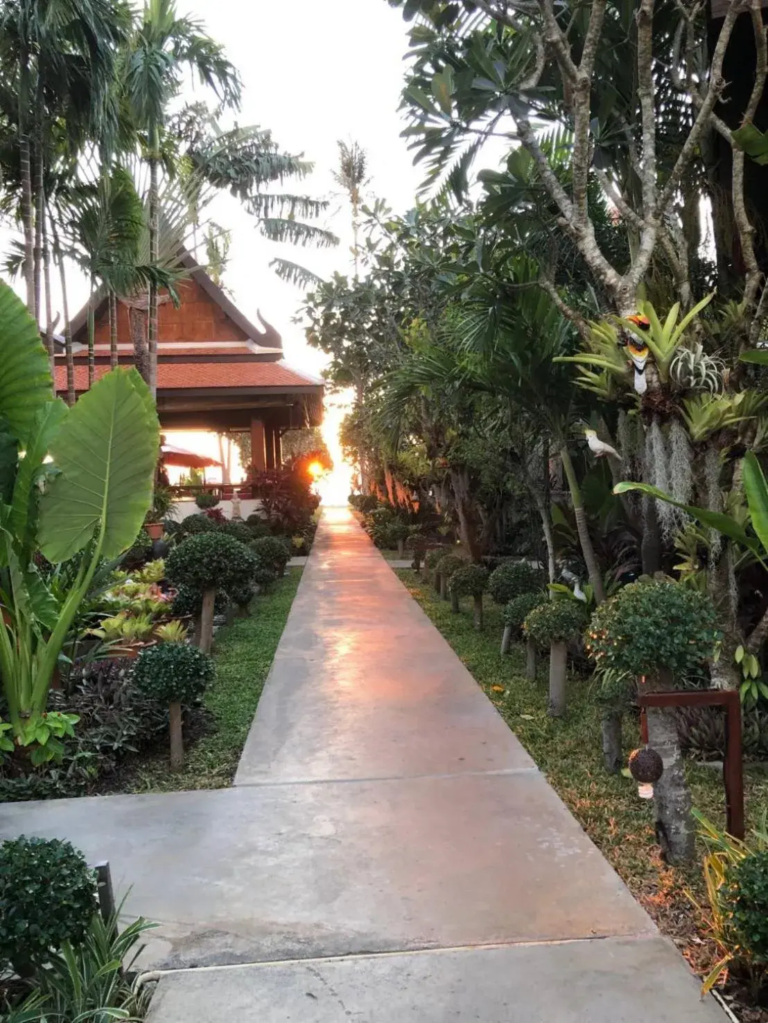 Spring, Garden in Baan Thai Lanta Resort