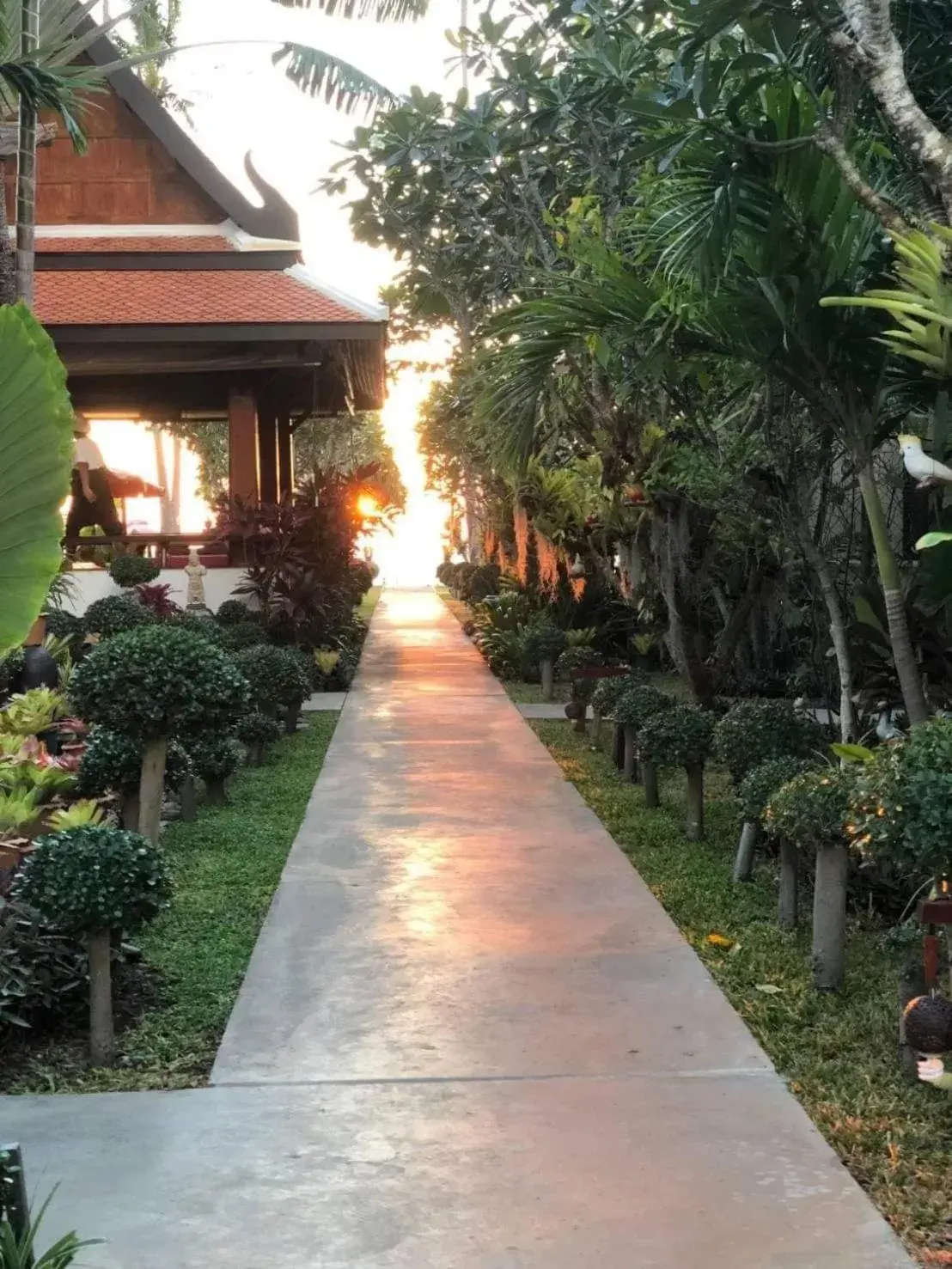Garden in Baan Thai Lanta Resort