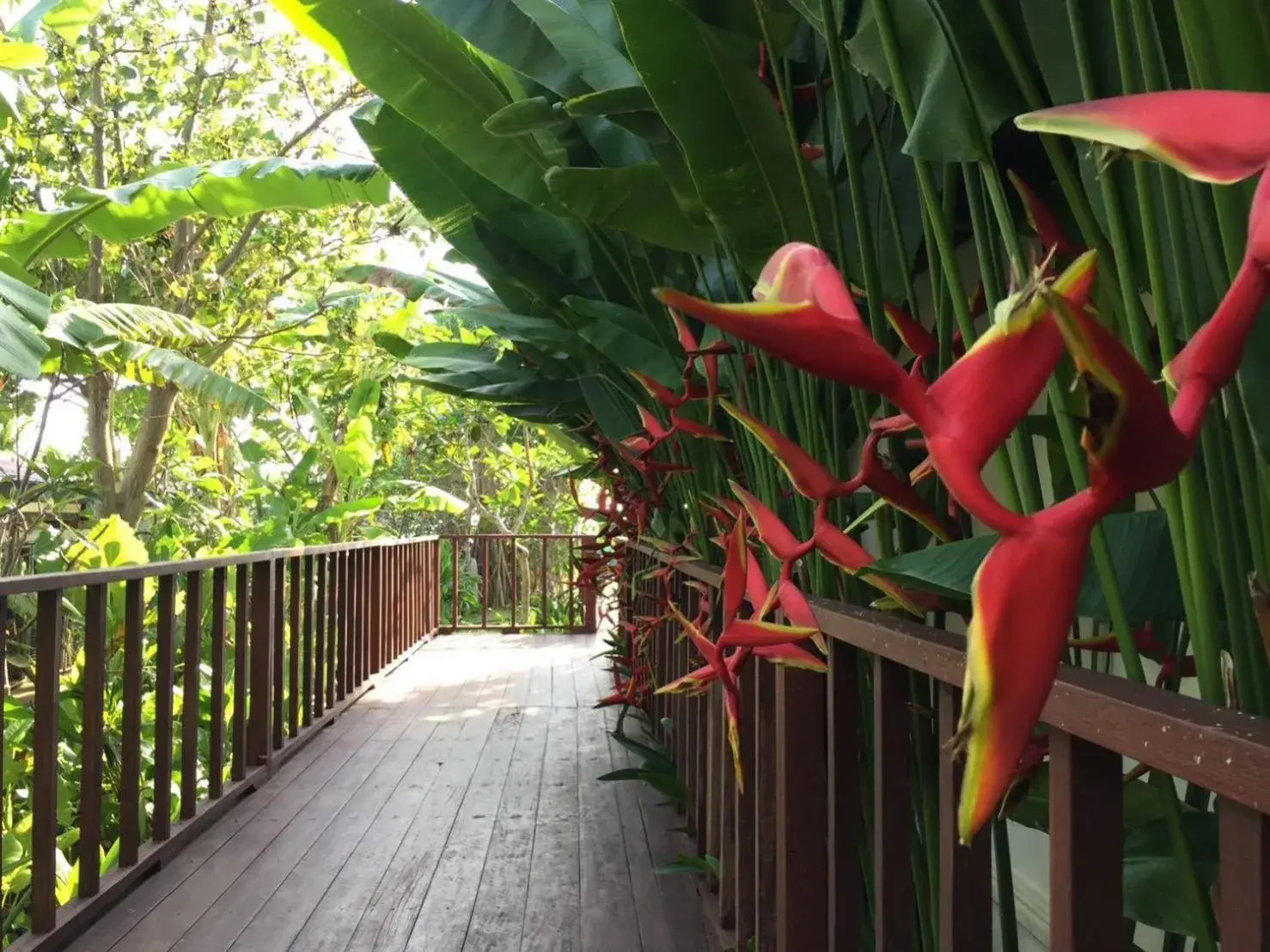 Garden in Baan Thai Lanta Resort