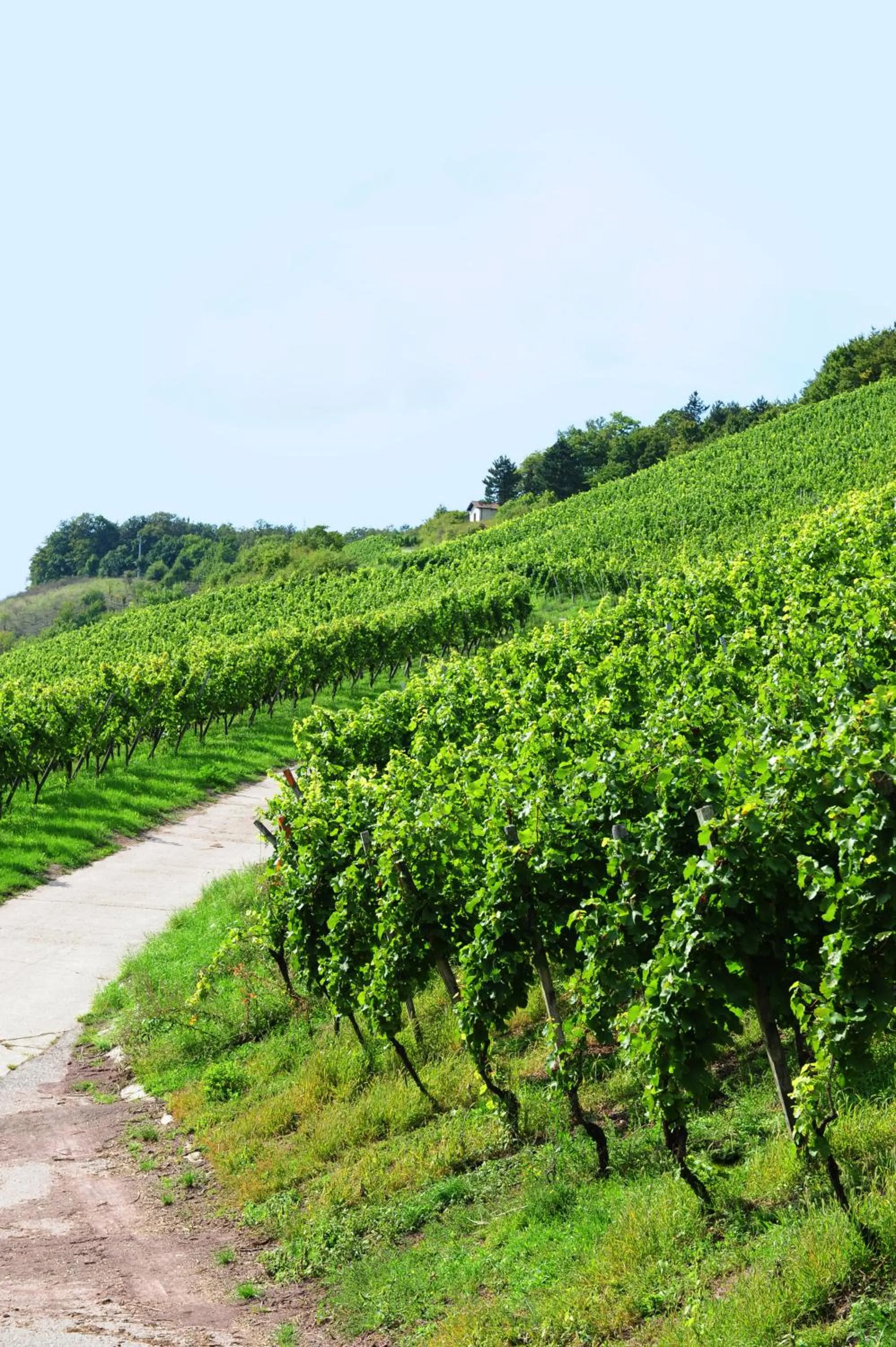 Hiking in Heitlinger Hof